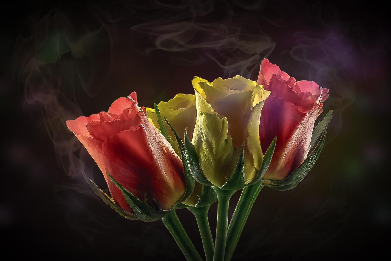 Wallpapers flower bouquet tulips on the desktop