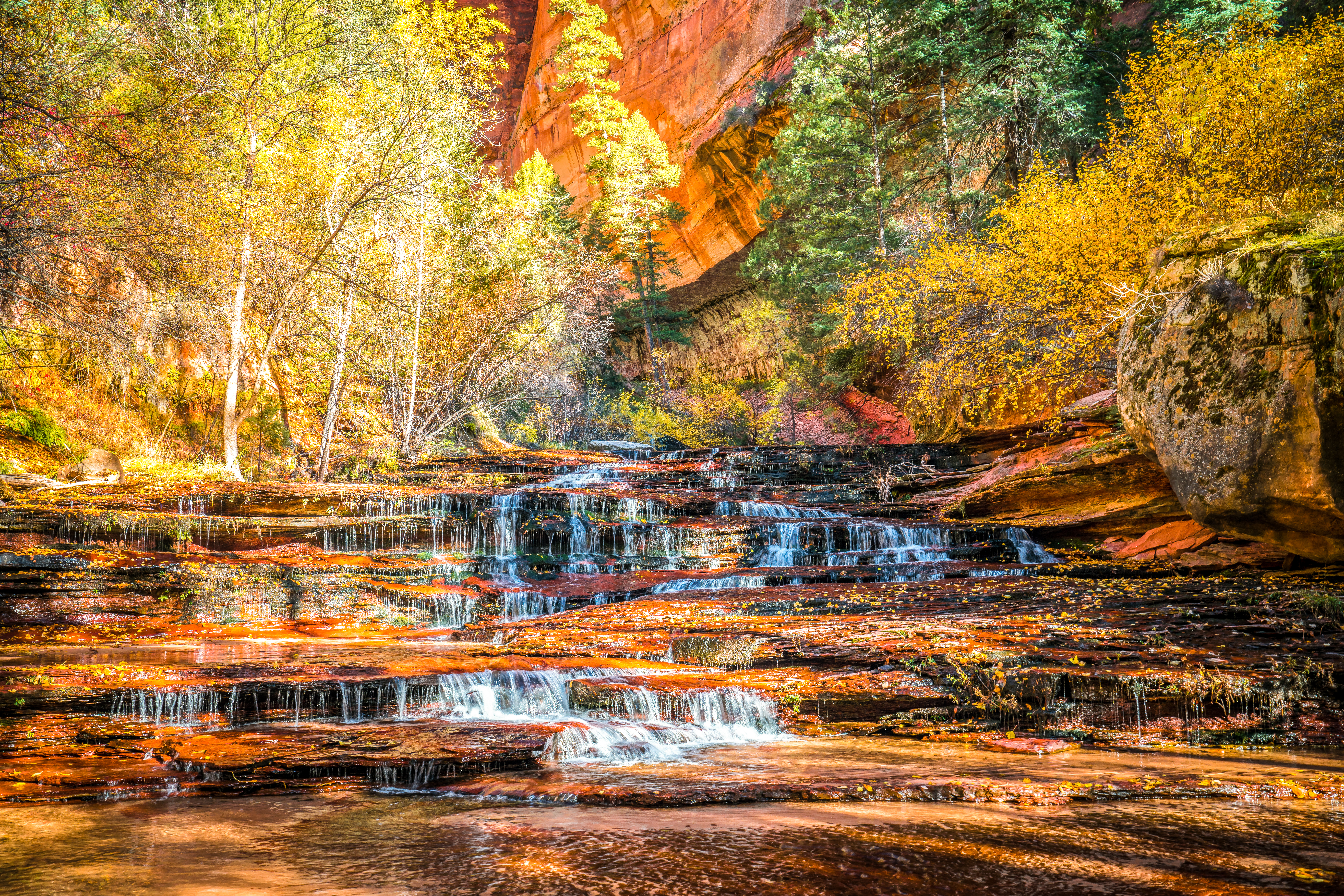 桌面上的壁纸锡安国家公园 秋季 瀑布