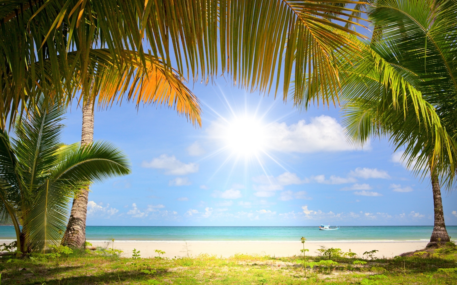 Обои тропический пляж солнце на рабочий стол