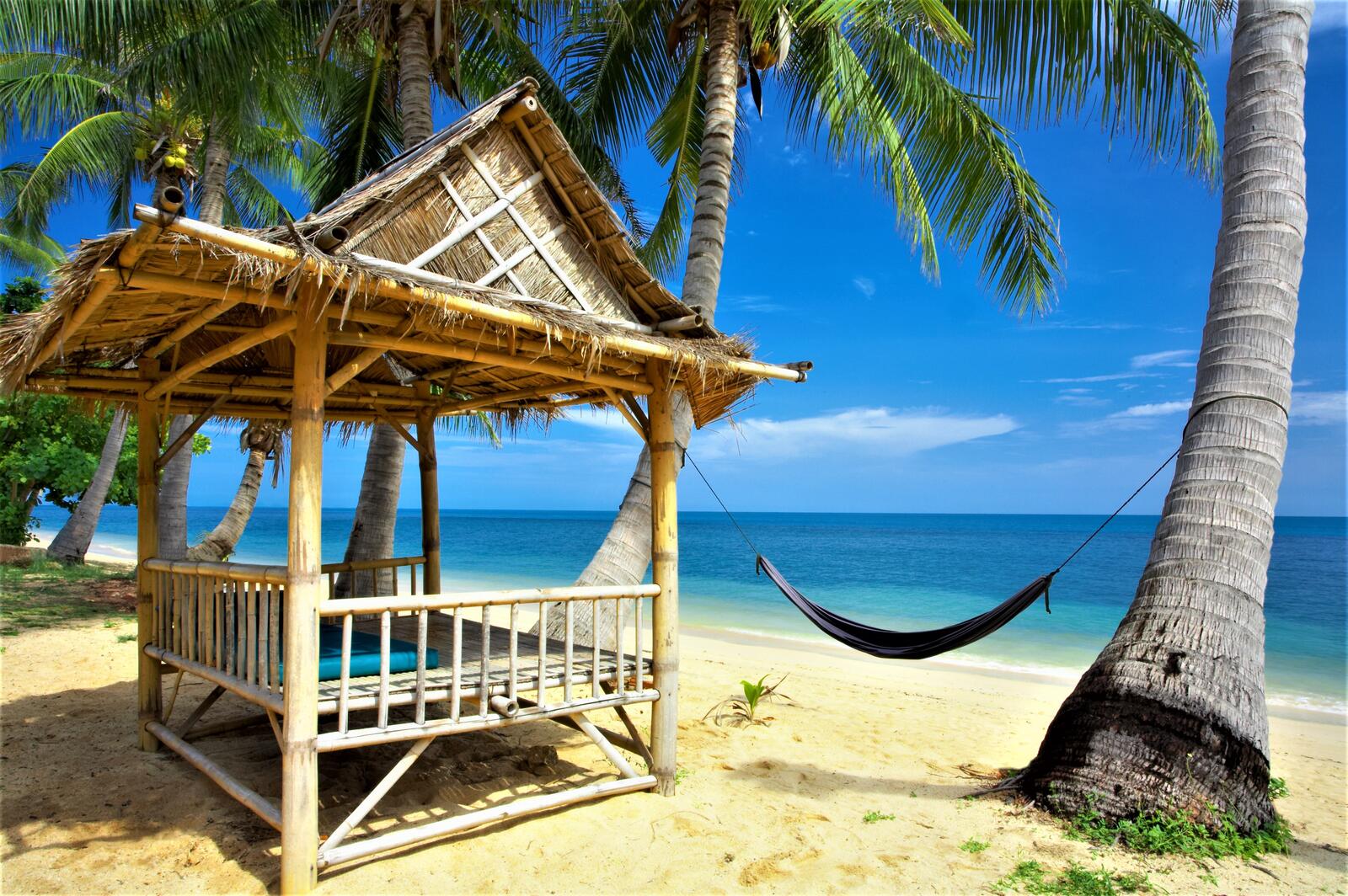 Обои Tropical paradise beach на рабочий стол