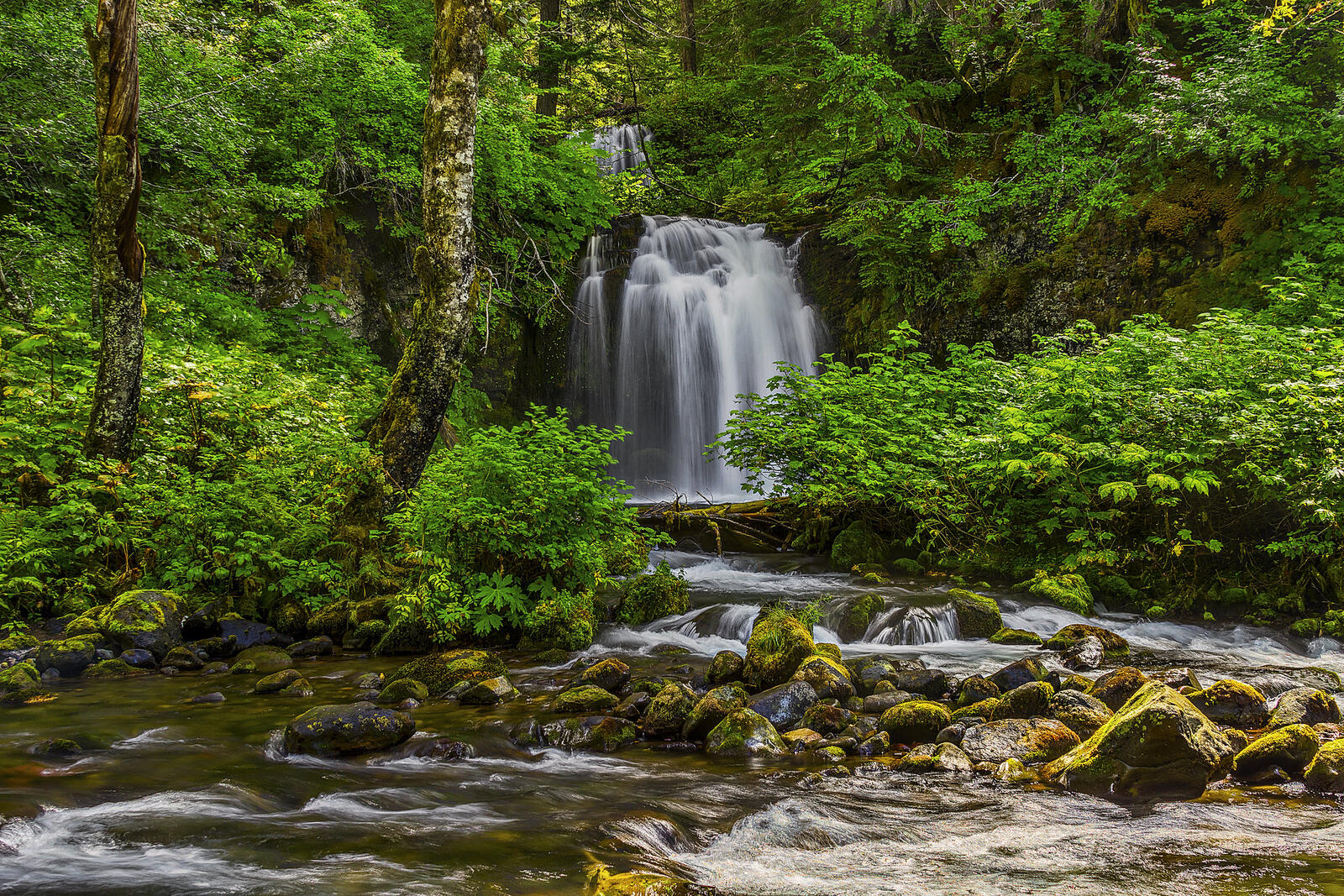 Обои Twin Falls Taken in the Gifford Pinchot National Forest washington на рабочий стол