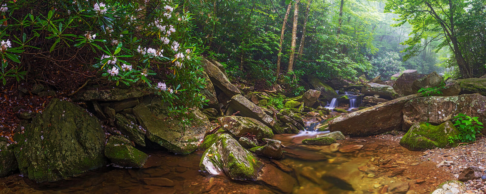 Wallpapers Boone Fork Creek Panorama North Carolina forest on the desktop