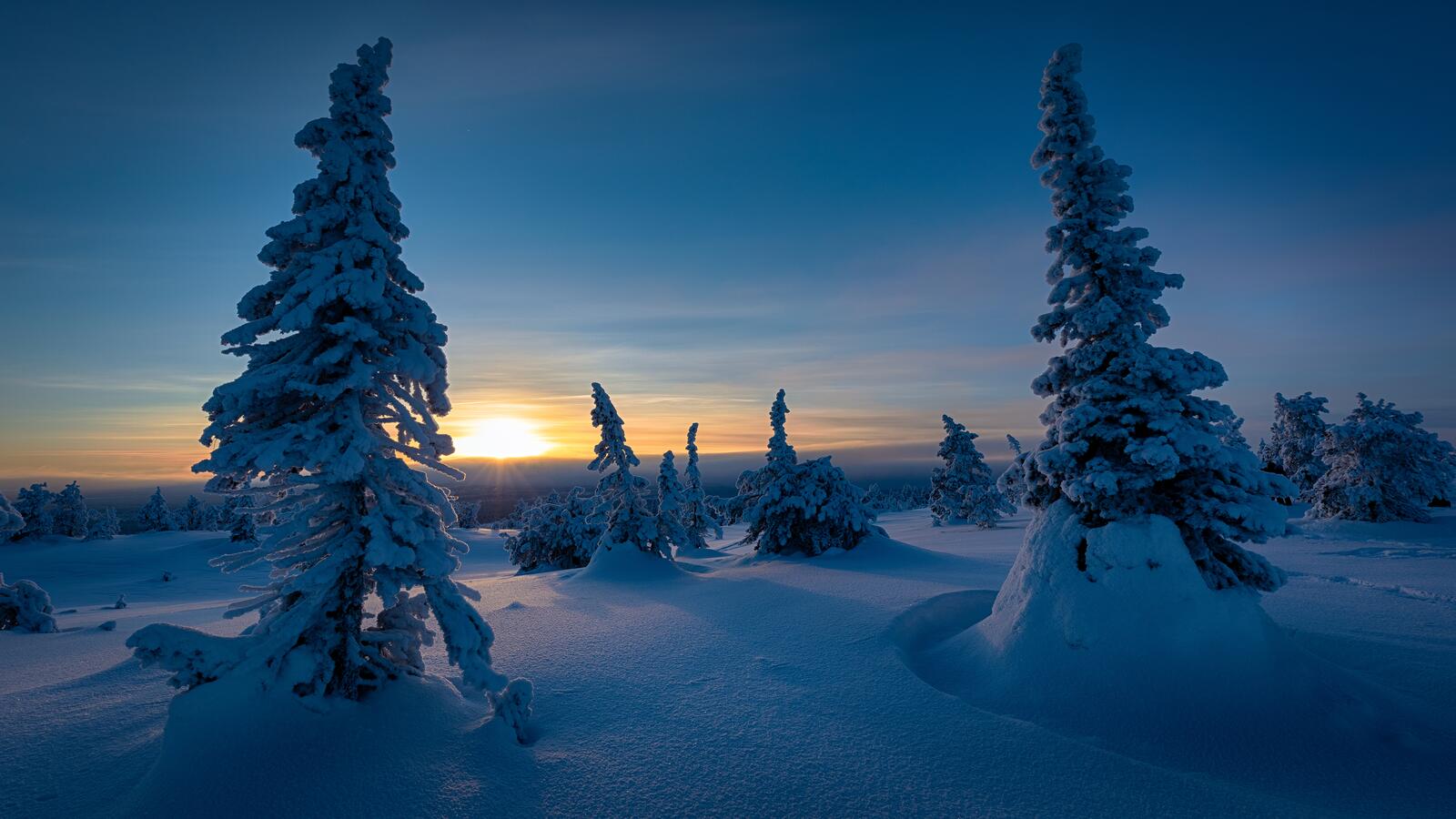 免费照片芬兰的冬季自然风光