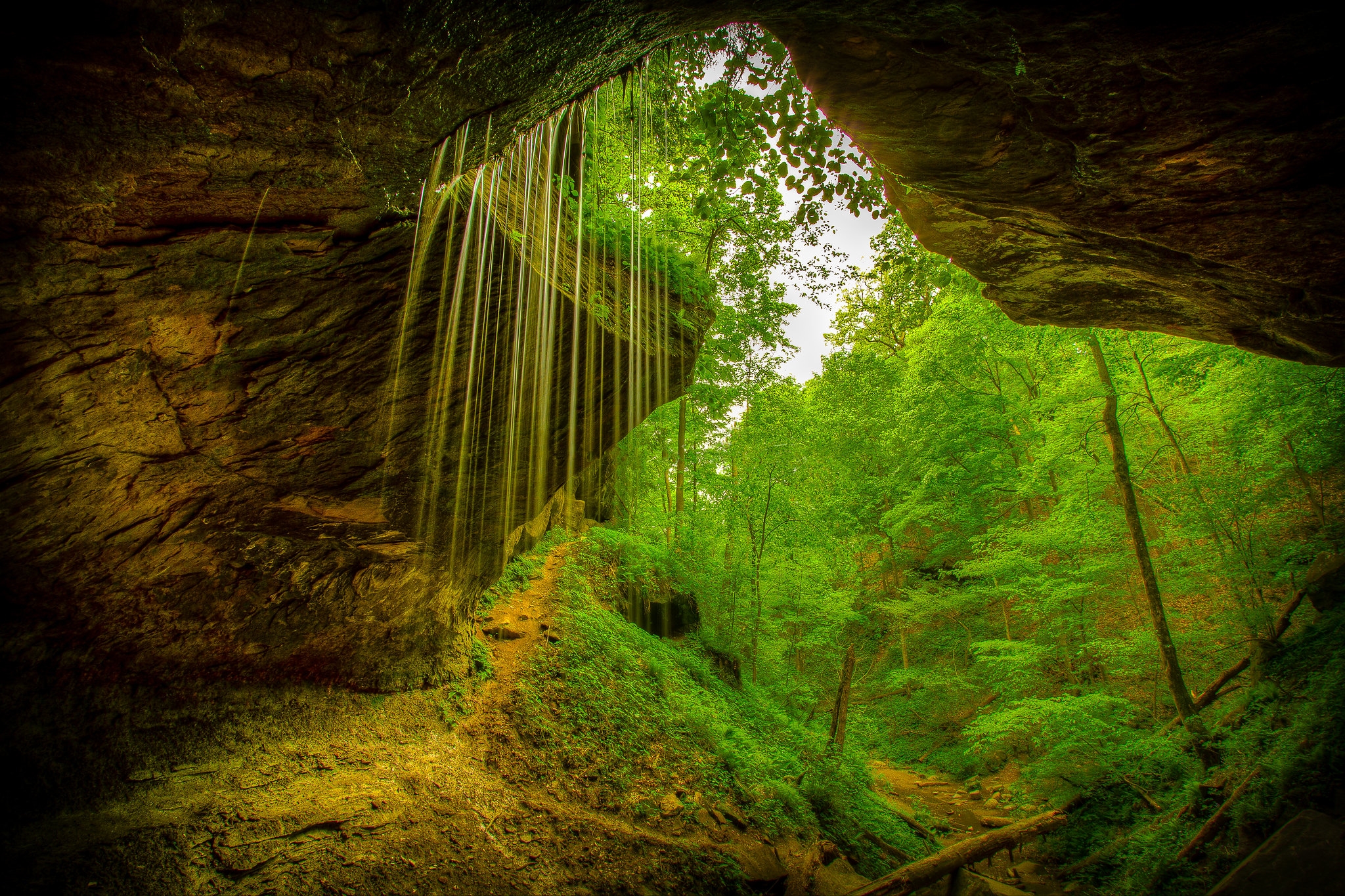Wallpapers nature cave forest on the desktop
