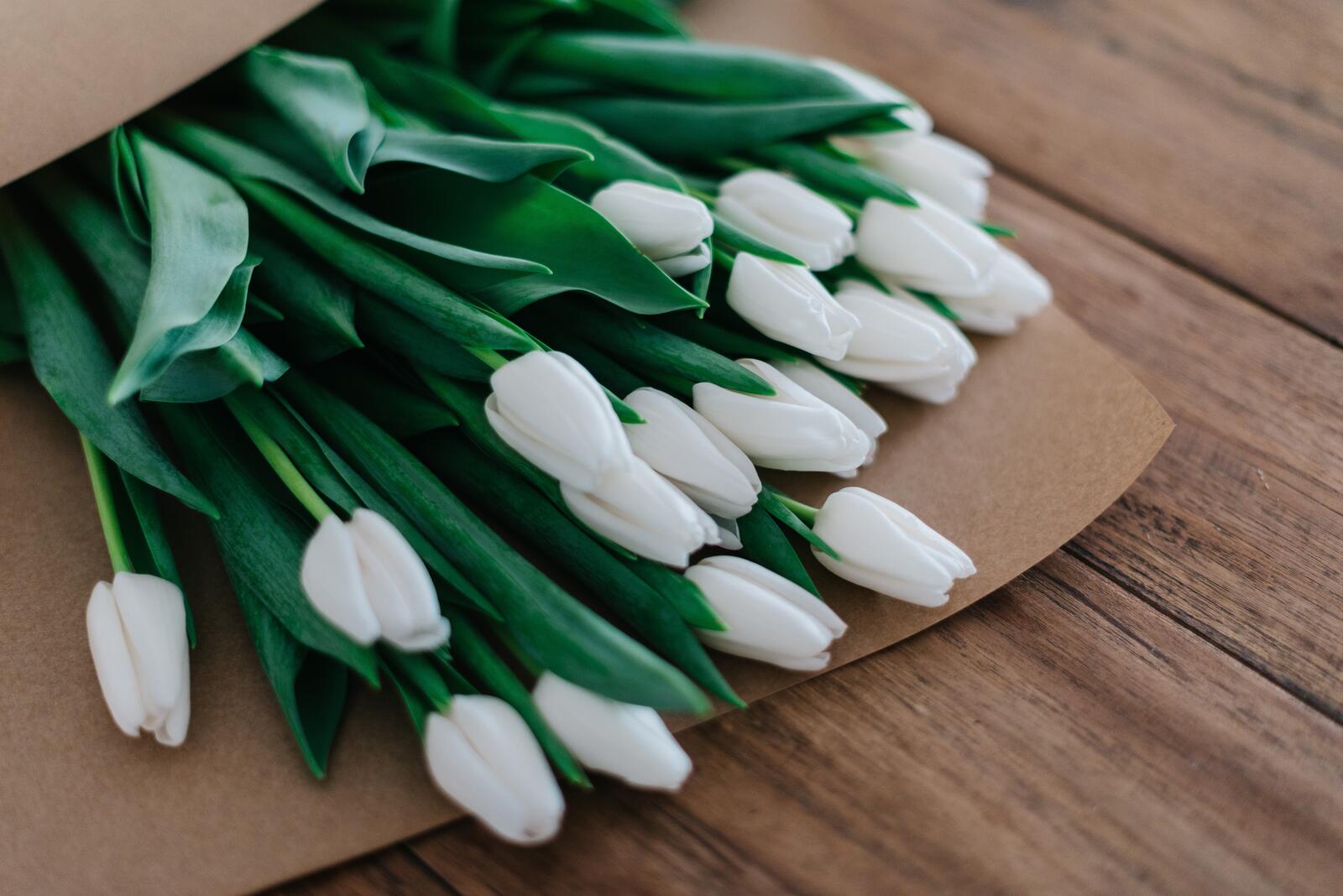 Обои букет белые тюльпаны на рабочий стол