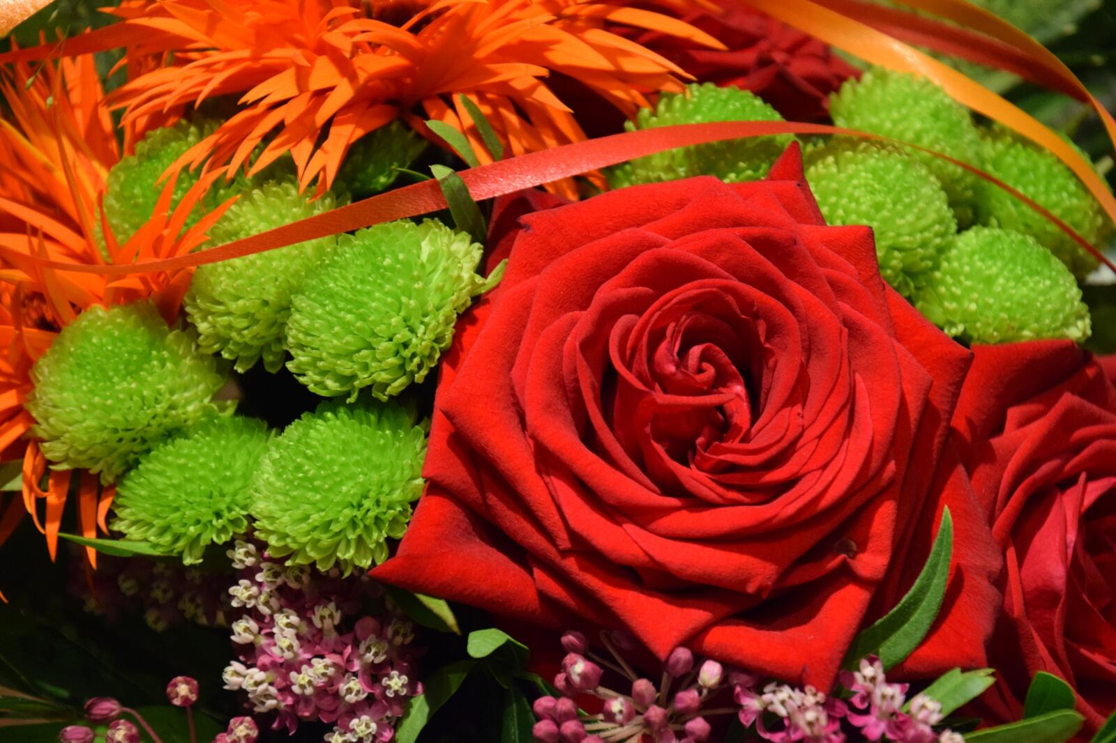 Обои розы букет флора на рабочий стол