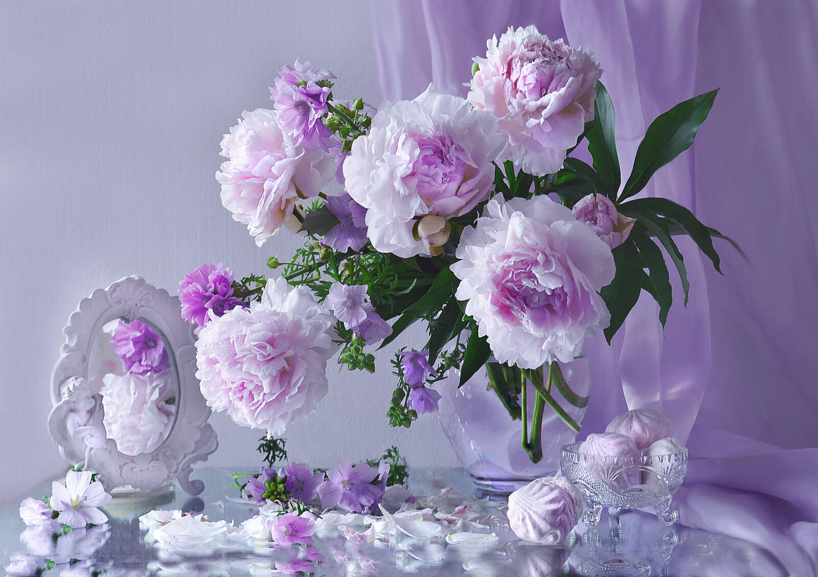 Wallpapers peonies flowers picture on the desktop