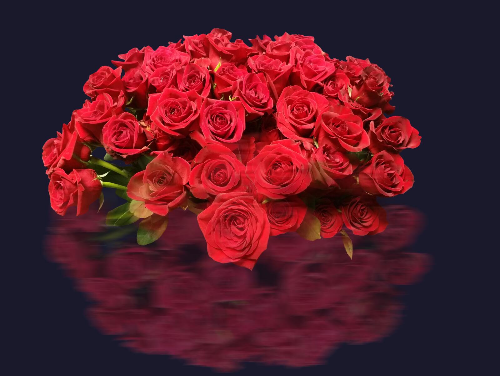Обои букет флора роза черный фон на рабочий стол
