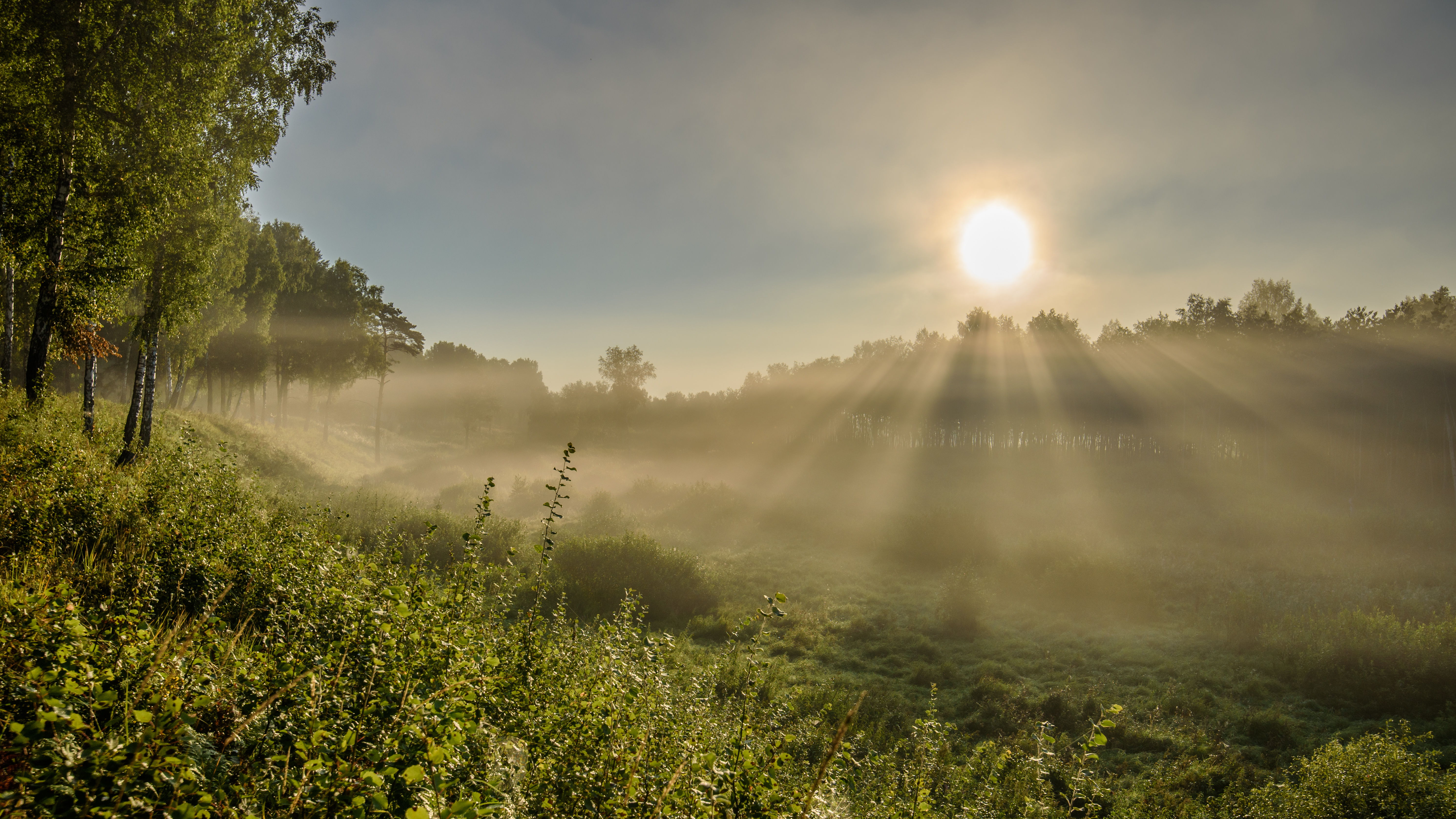 Вышло солнце из тумана. Туманное утро в Италии Айвазовский. Утренний рассвет. Утренний туман. Раннее утро.