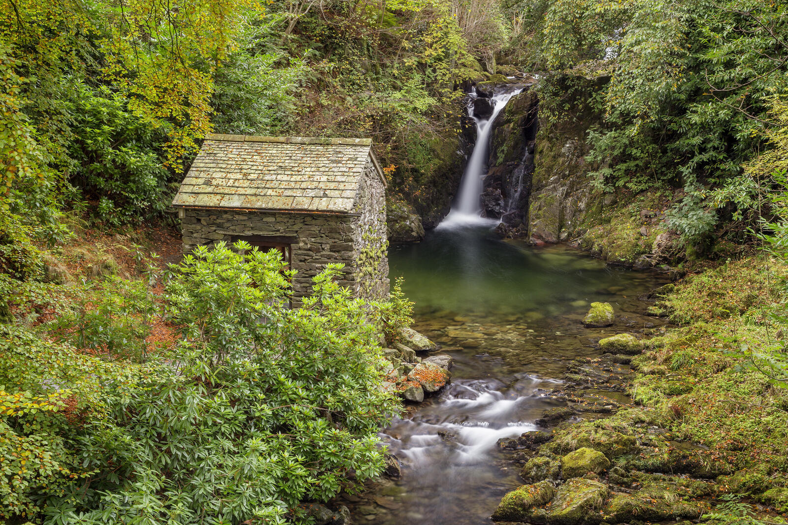 Бесплатное фото Избушка у водопада в лесу