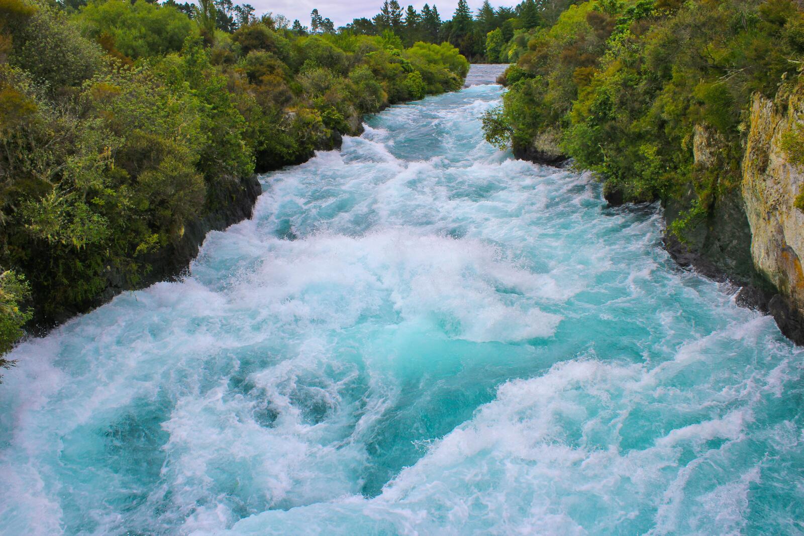 Бесплатное фото Сильный ручей с голубой водой среди деревьев
