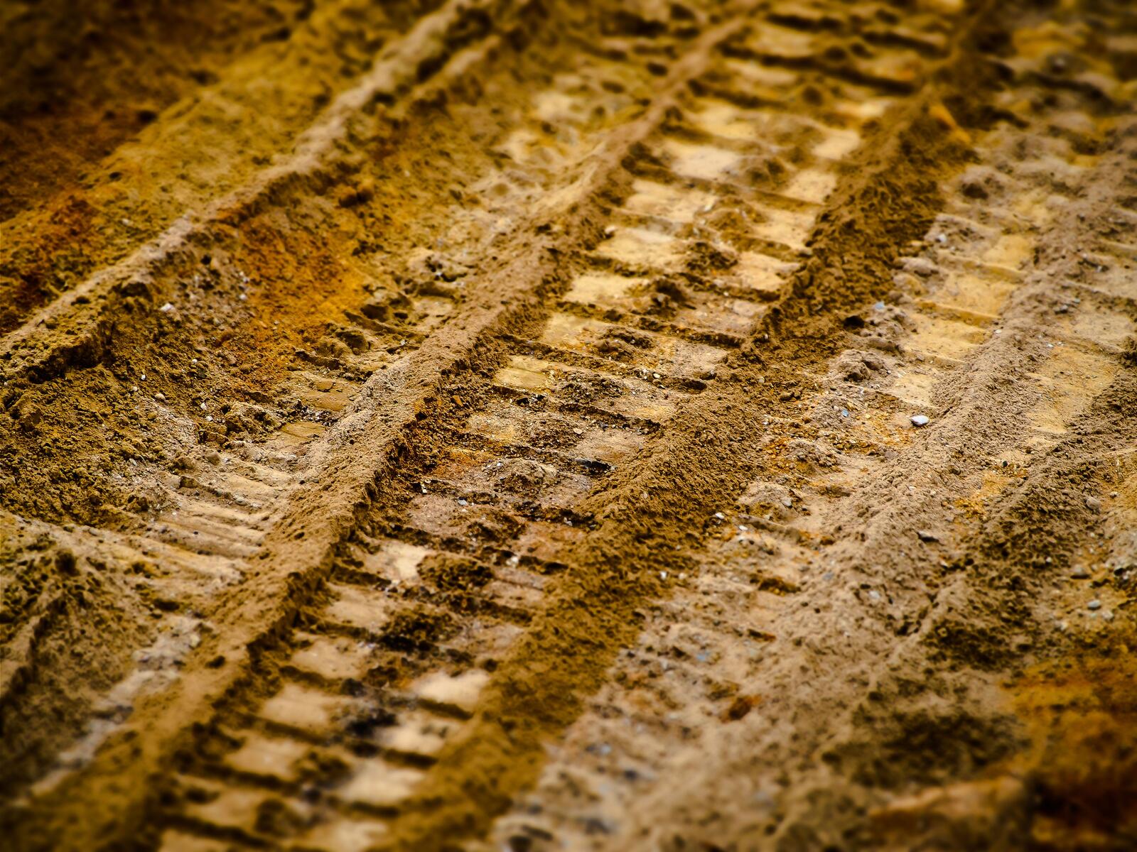 Wallpapers sand wood track on the desktop