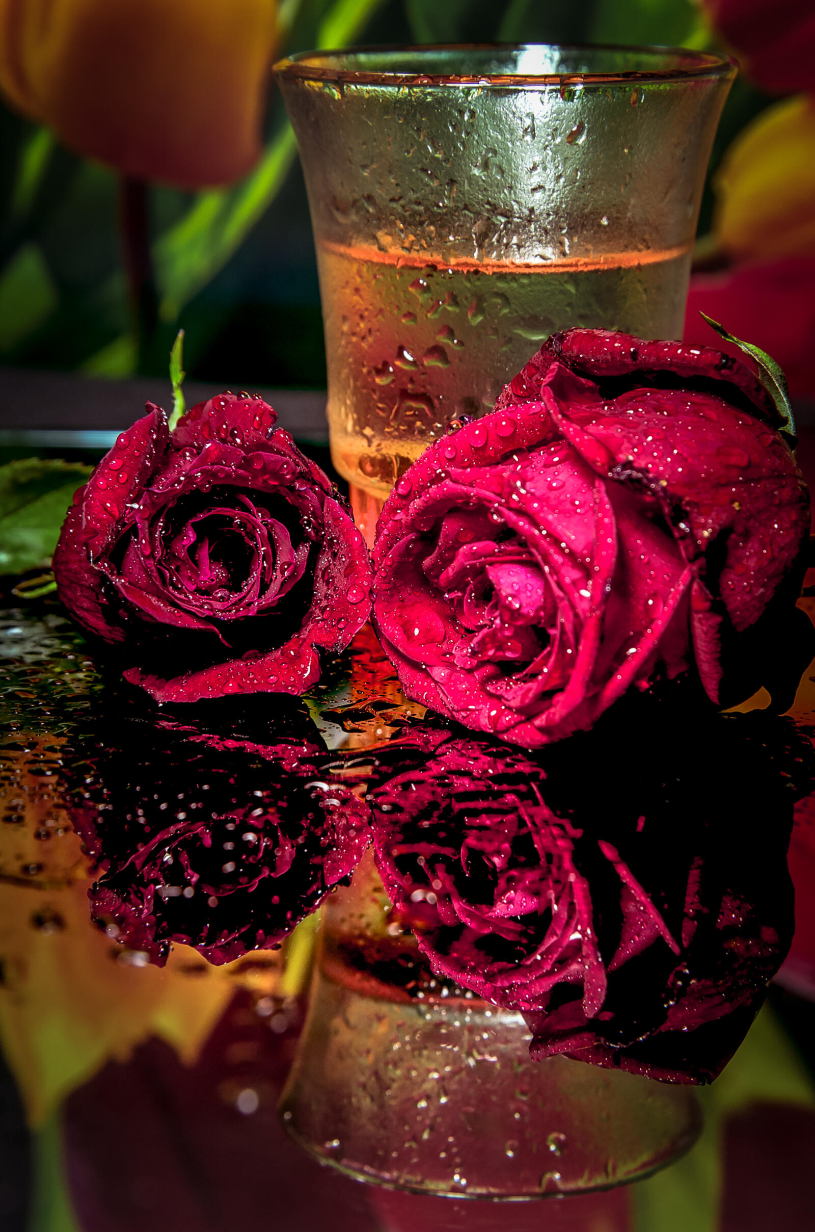 Обои флора капли дождя роза на рабочий стол