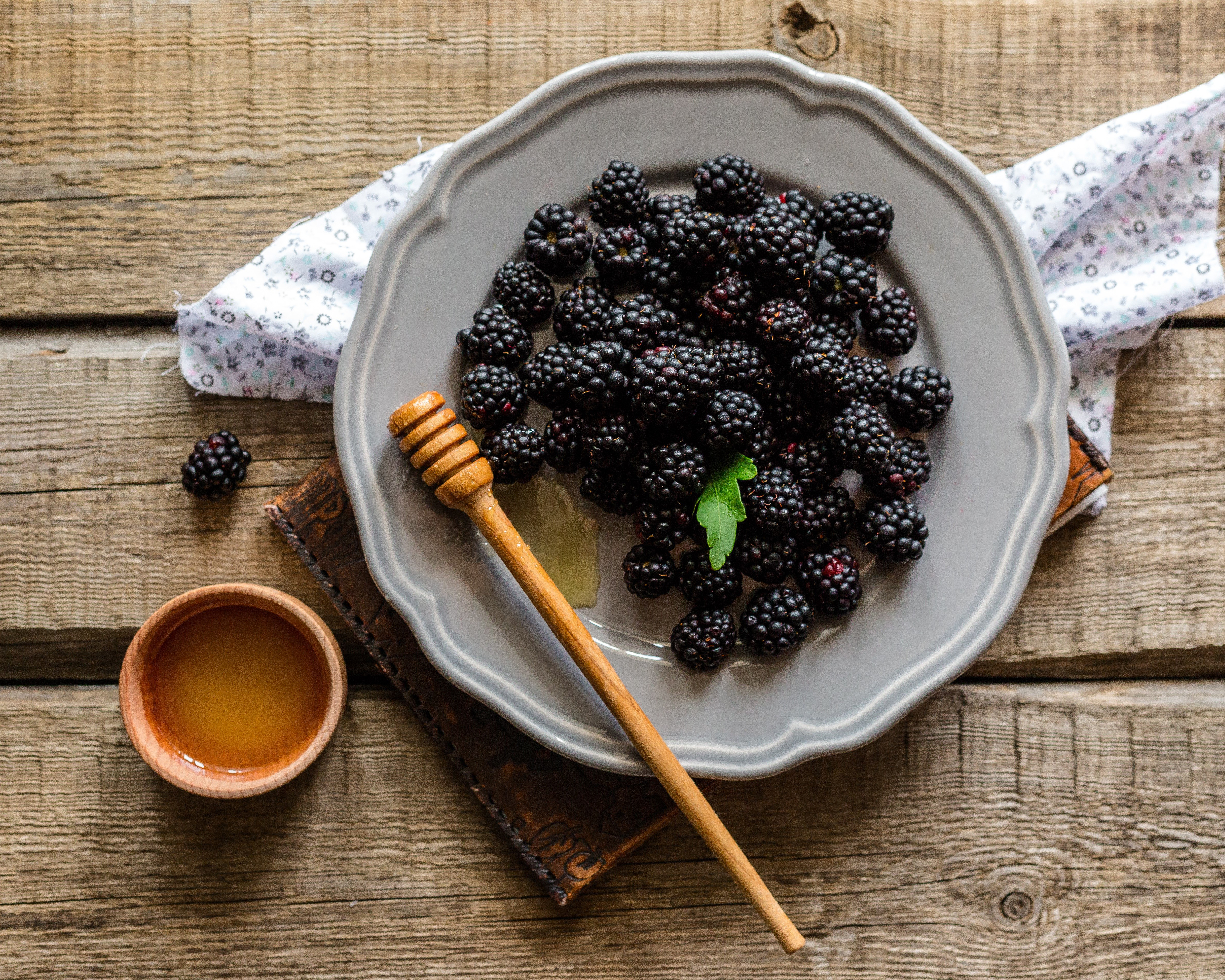 免费照片黑莓和蜂蜜