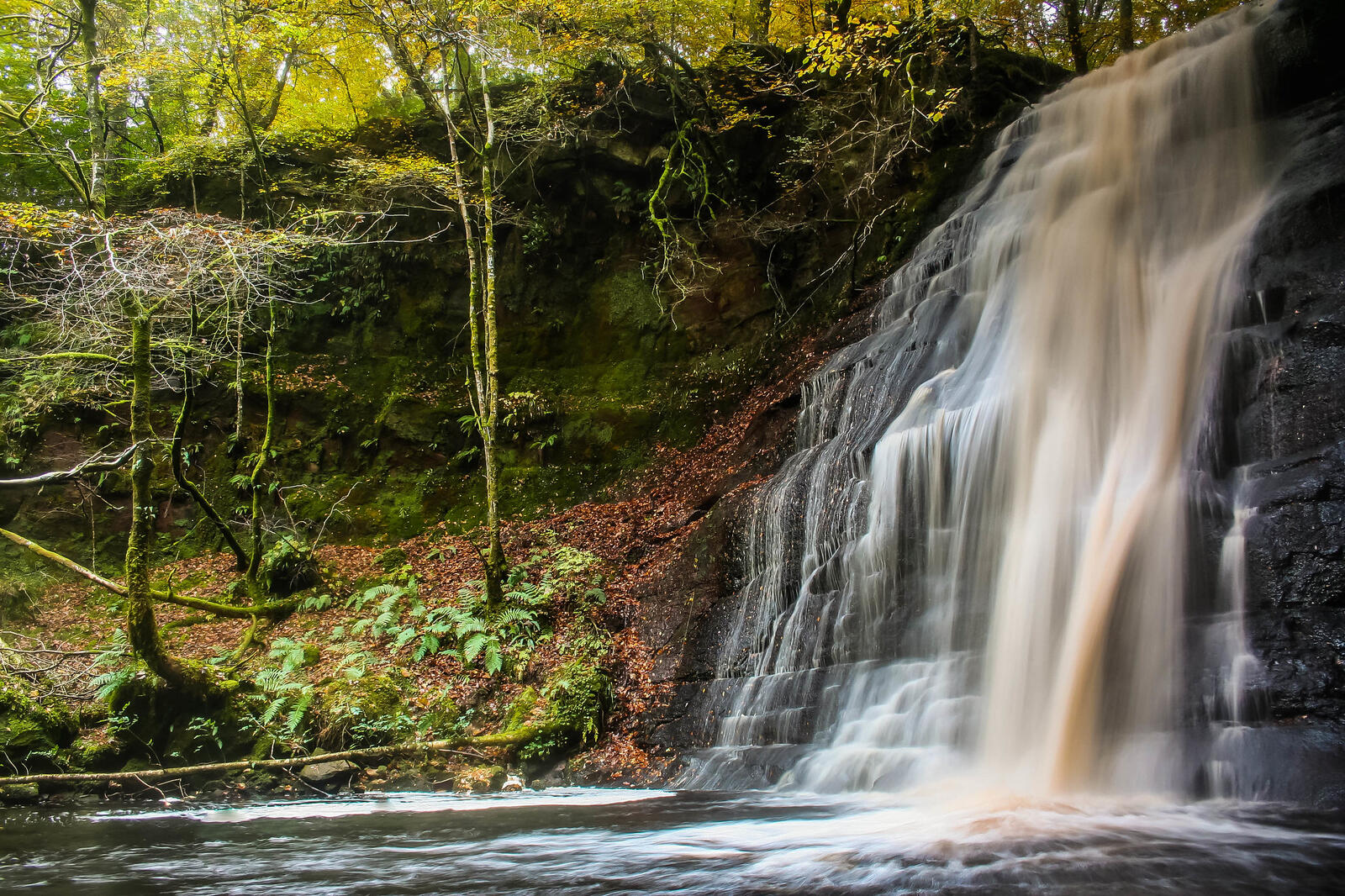Бесплатное фото Искусственный водопад в лесу