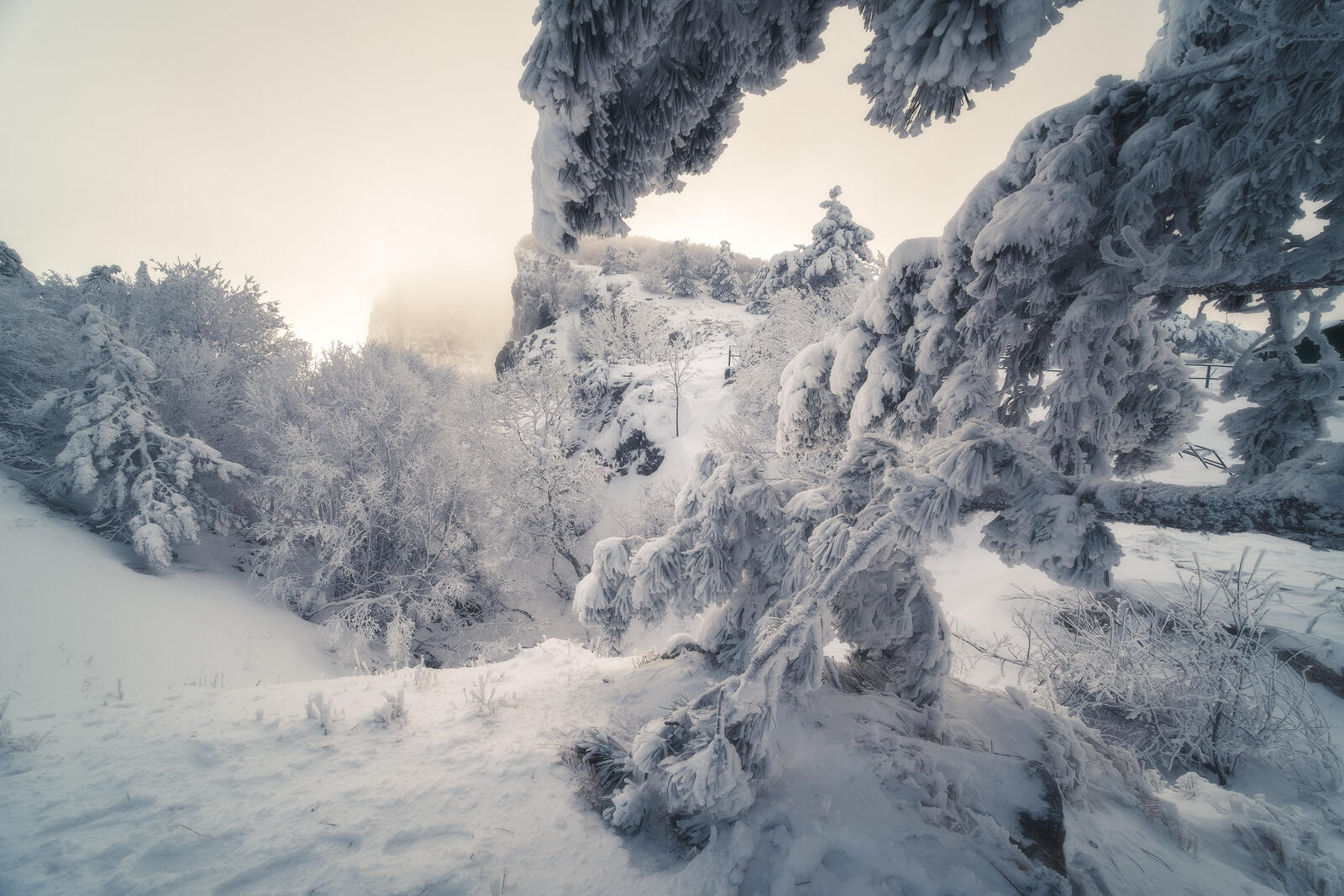 免费照片克里米亚的冬季童话故事