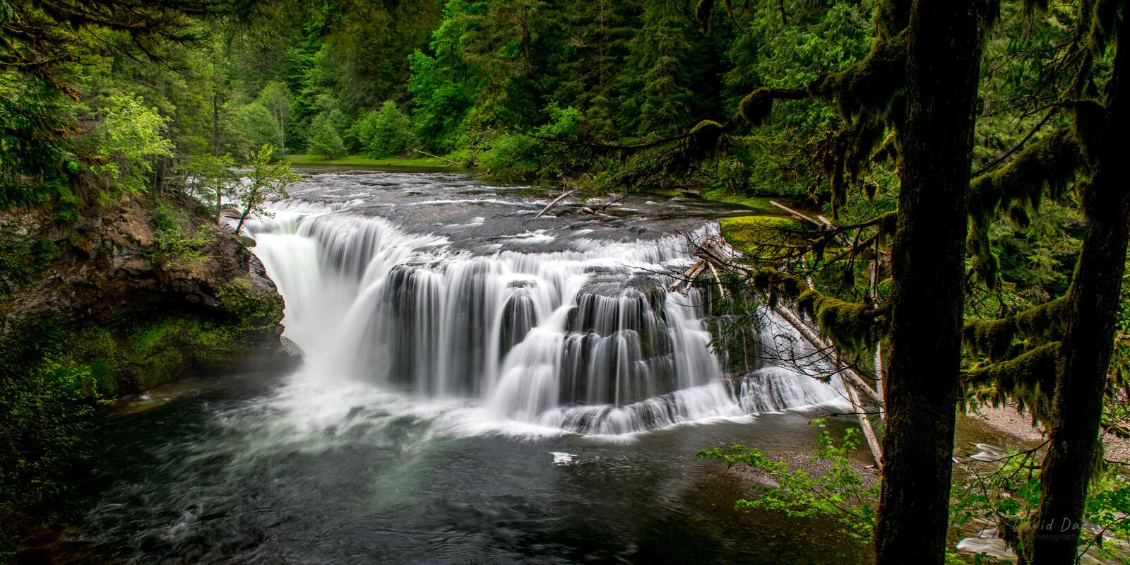 Бесплатное фото Лесной водопад в США