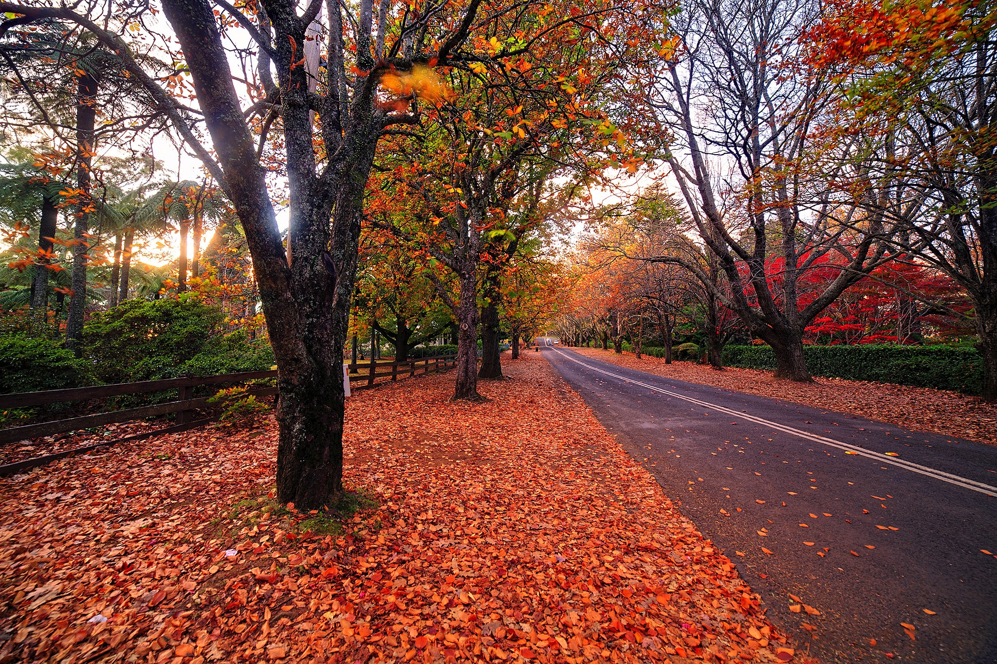 Wallpapers landscape road autumn leaves on the desktop