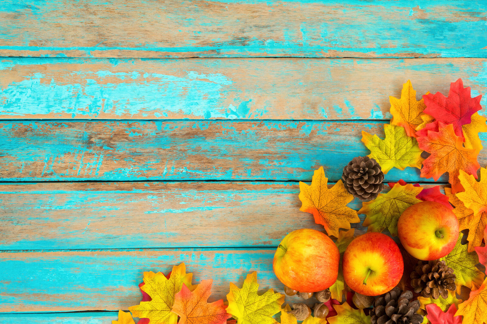 Бесплатное фото Осенняя композиция с яблоками