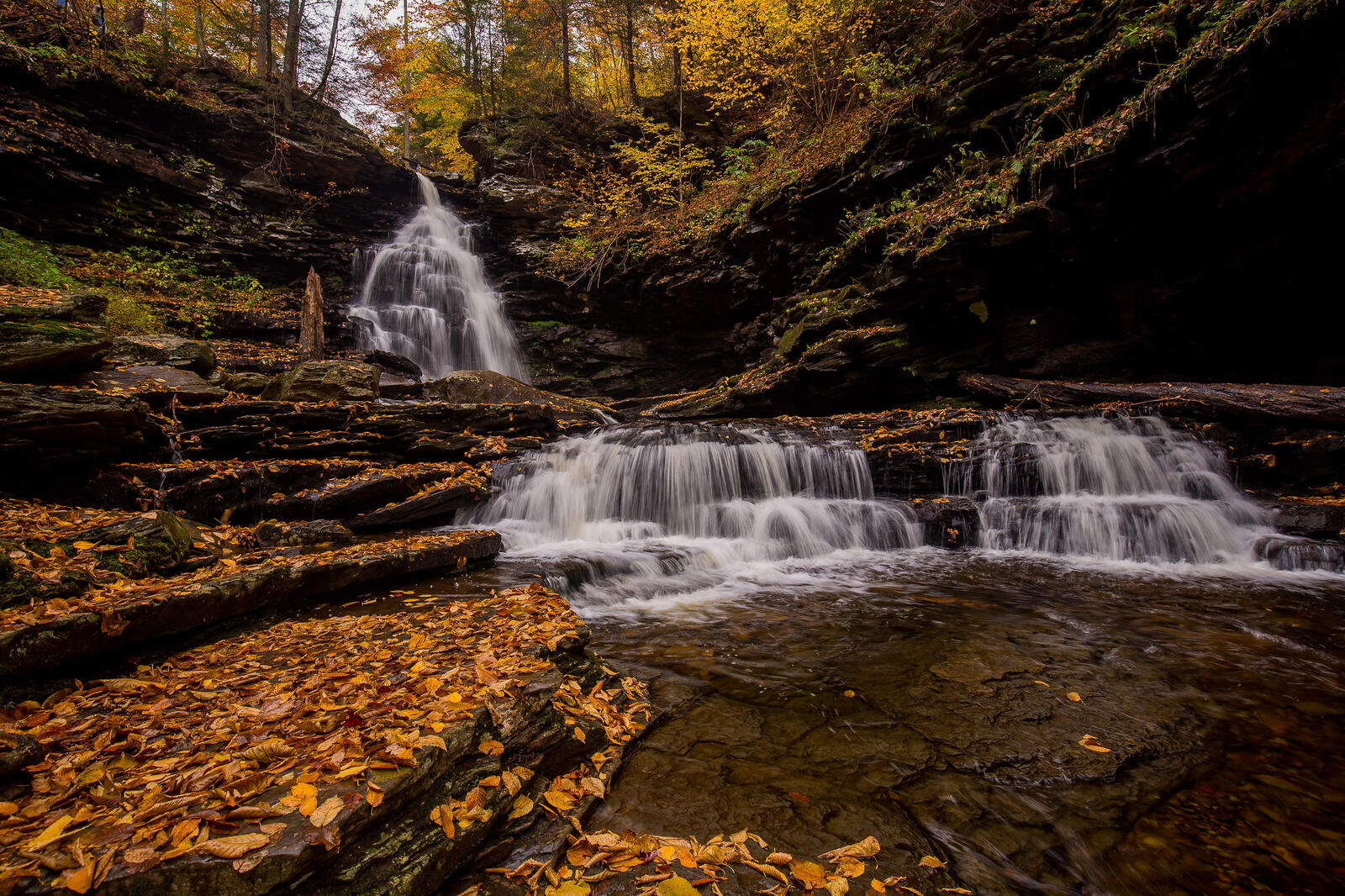 Wallpapers stones autumn colors State Park Ricketts Glen on the desktop