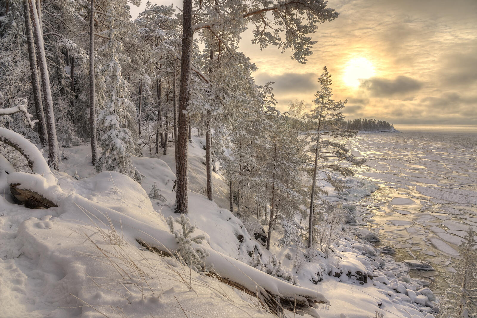 Wallpapers Ladoga lake trees ice on the desktop