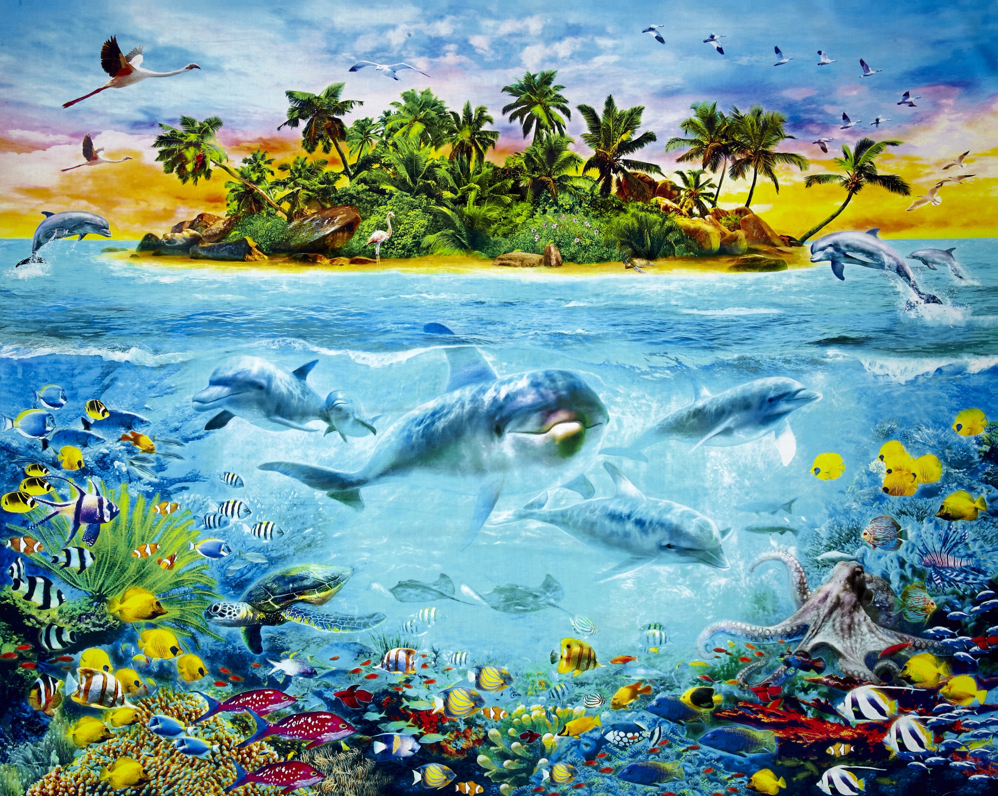 Райский остров и дельфины