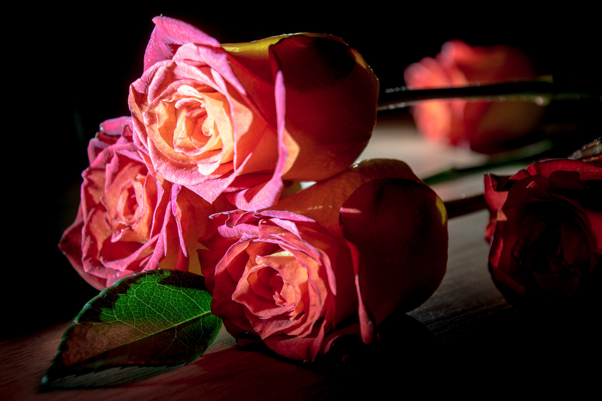 Гифы розы на столе
