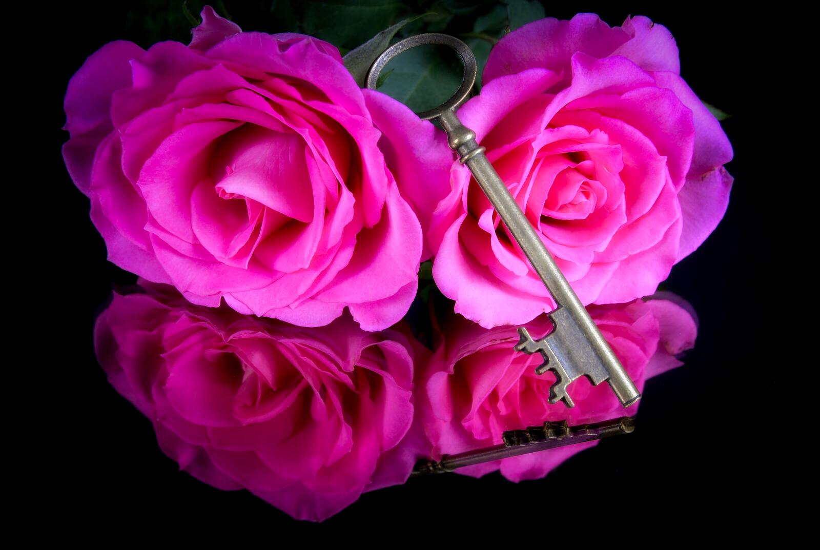 Обои ключ цветочные цветы на рабочий стол