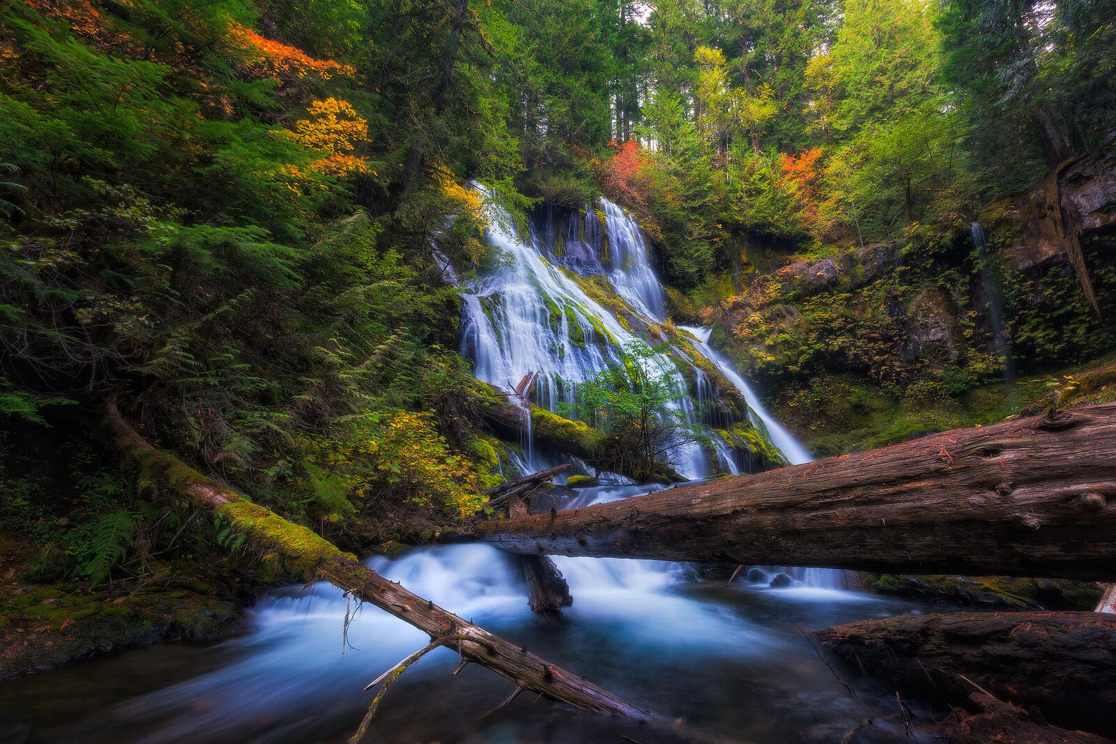 Wallpapers Panther Creek Waterfalls forest landscape on the desktop