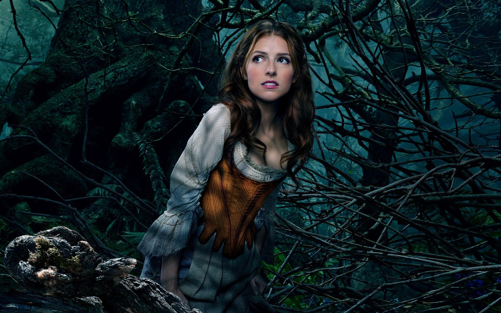 Free photo Anna Kendrick in the role of Cinderella