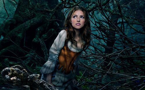 Anna Kendrick in the role of Cinderella