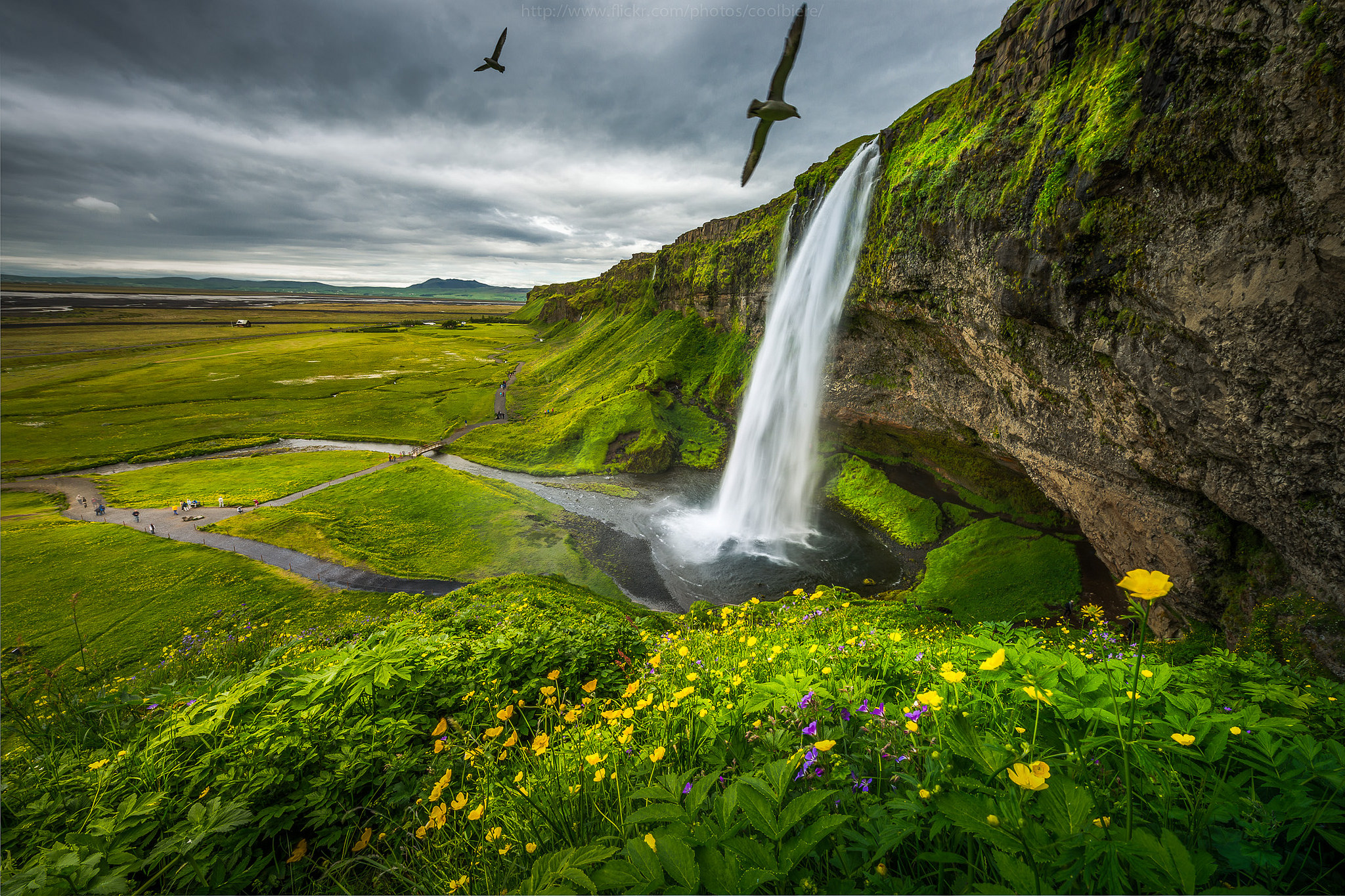 Фото бесплатно Seljalandsfoss, Водопад Сельяландсфосс, Исландия