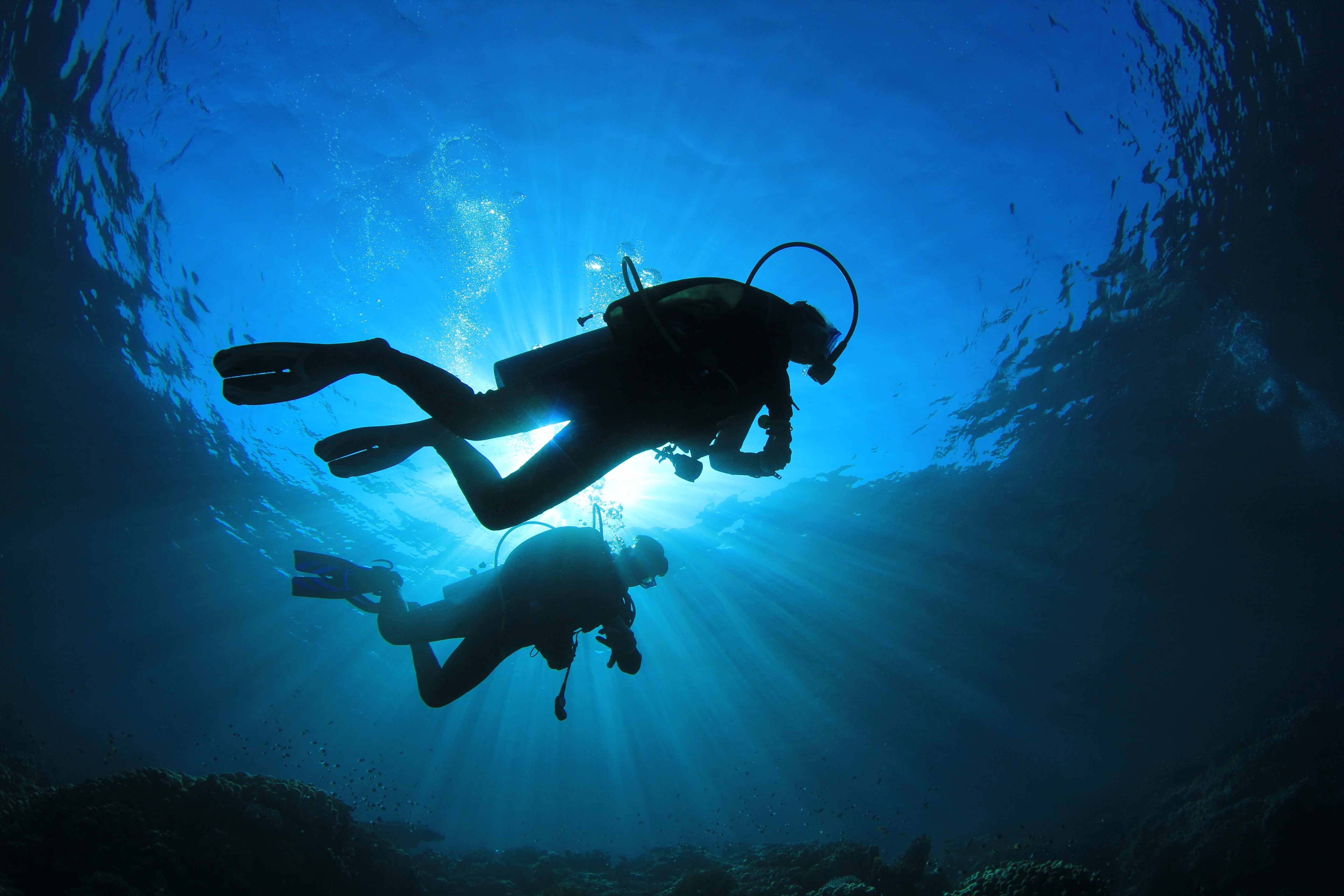 Wallpapers diver diving ocean on the desktop