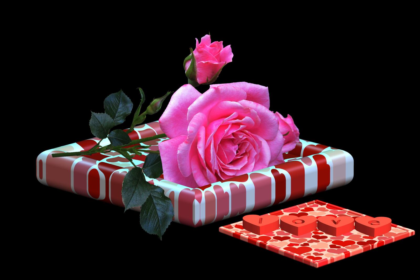 桌面上的壁纸情人节快乐 明信片 玫瑰花
