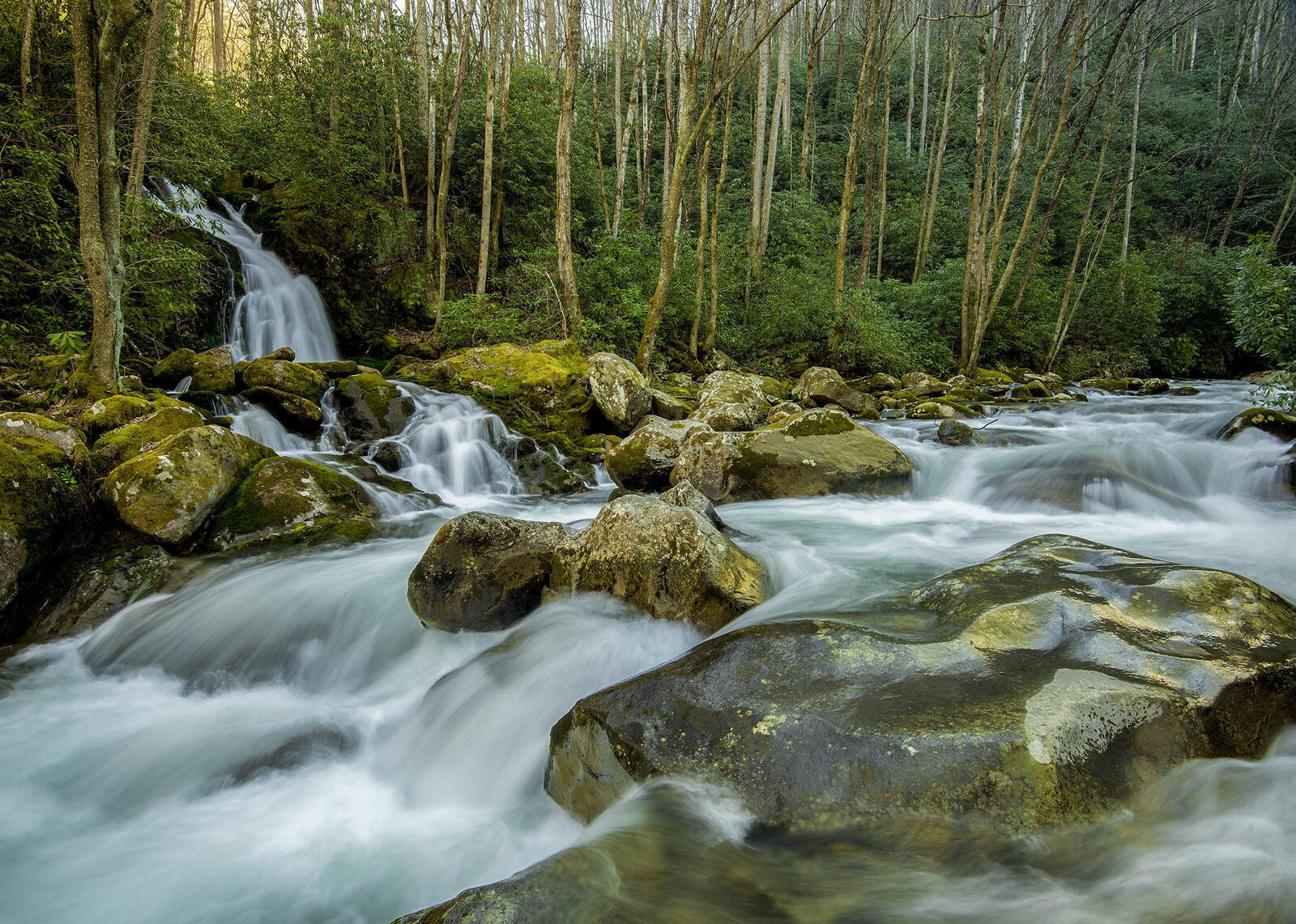 Обои Северная Каролина водопад природа на рабочий стол
