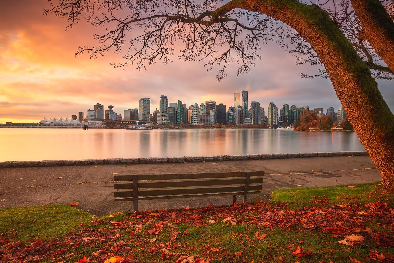 Wallpapers Stanley Park Vancouver autumn on the desktop