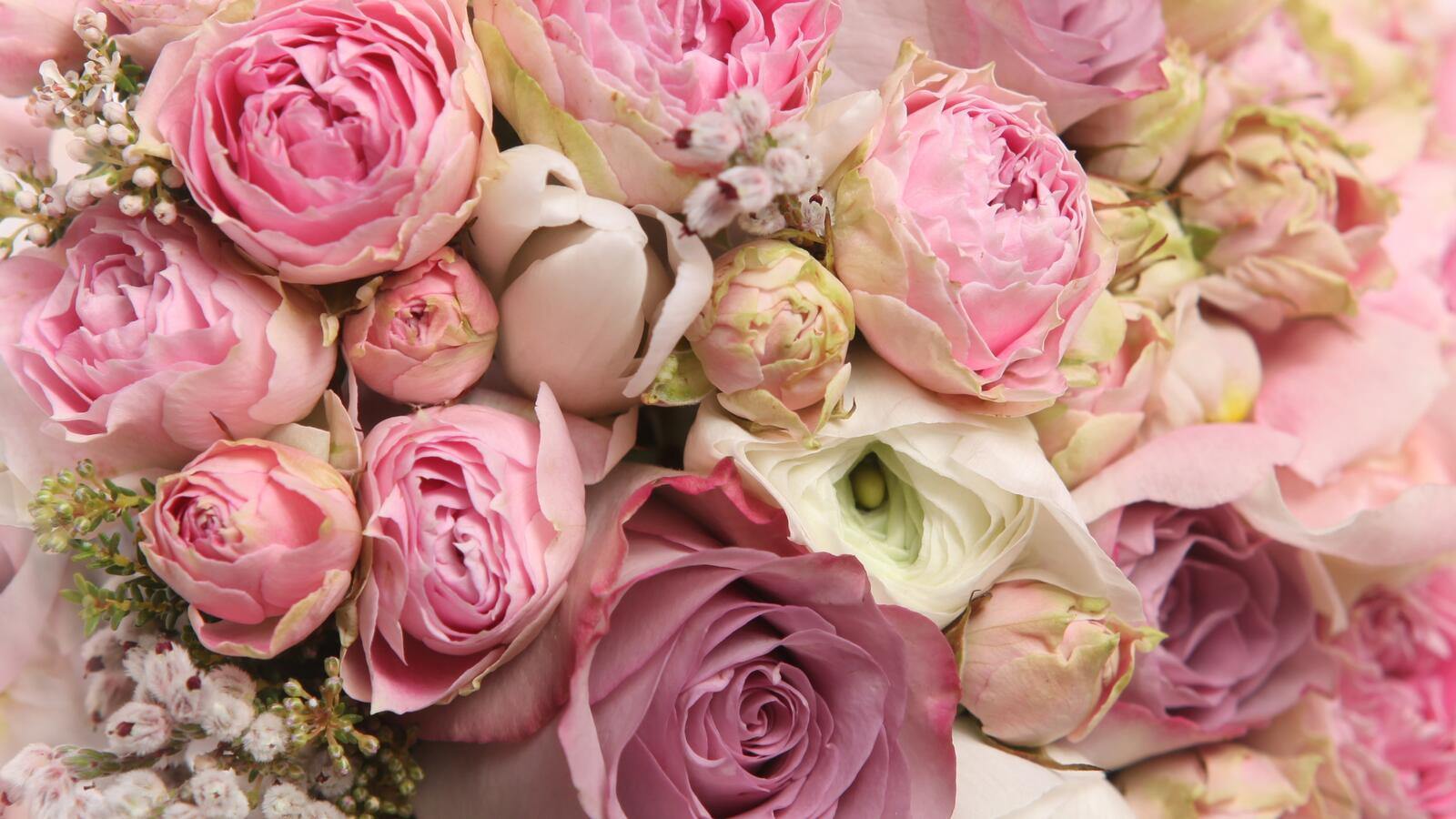 桌面上的壁纸美丽的花束 花束 凉爽