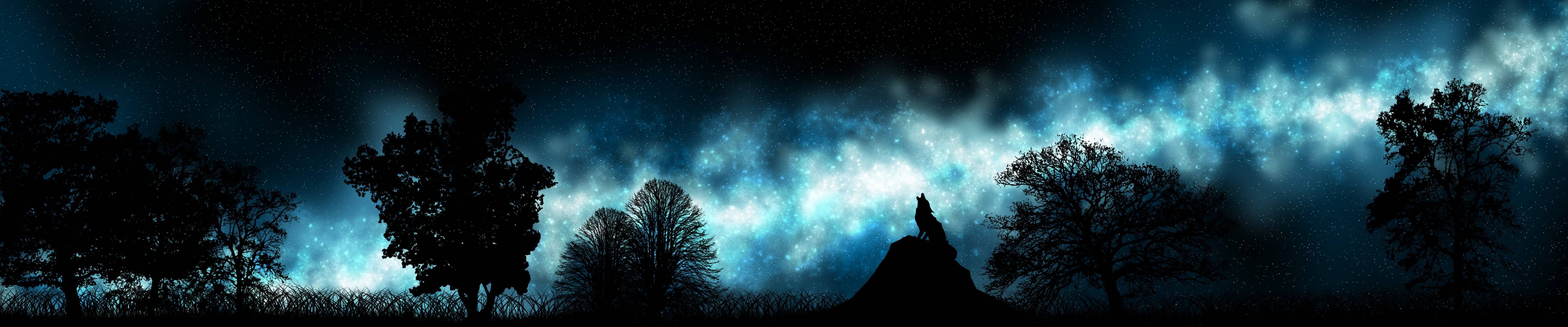 Wallpapers stars silhouette moonlight on the desktop