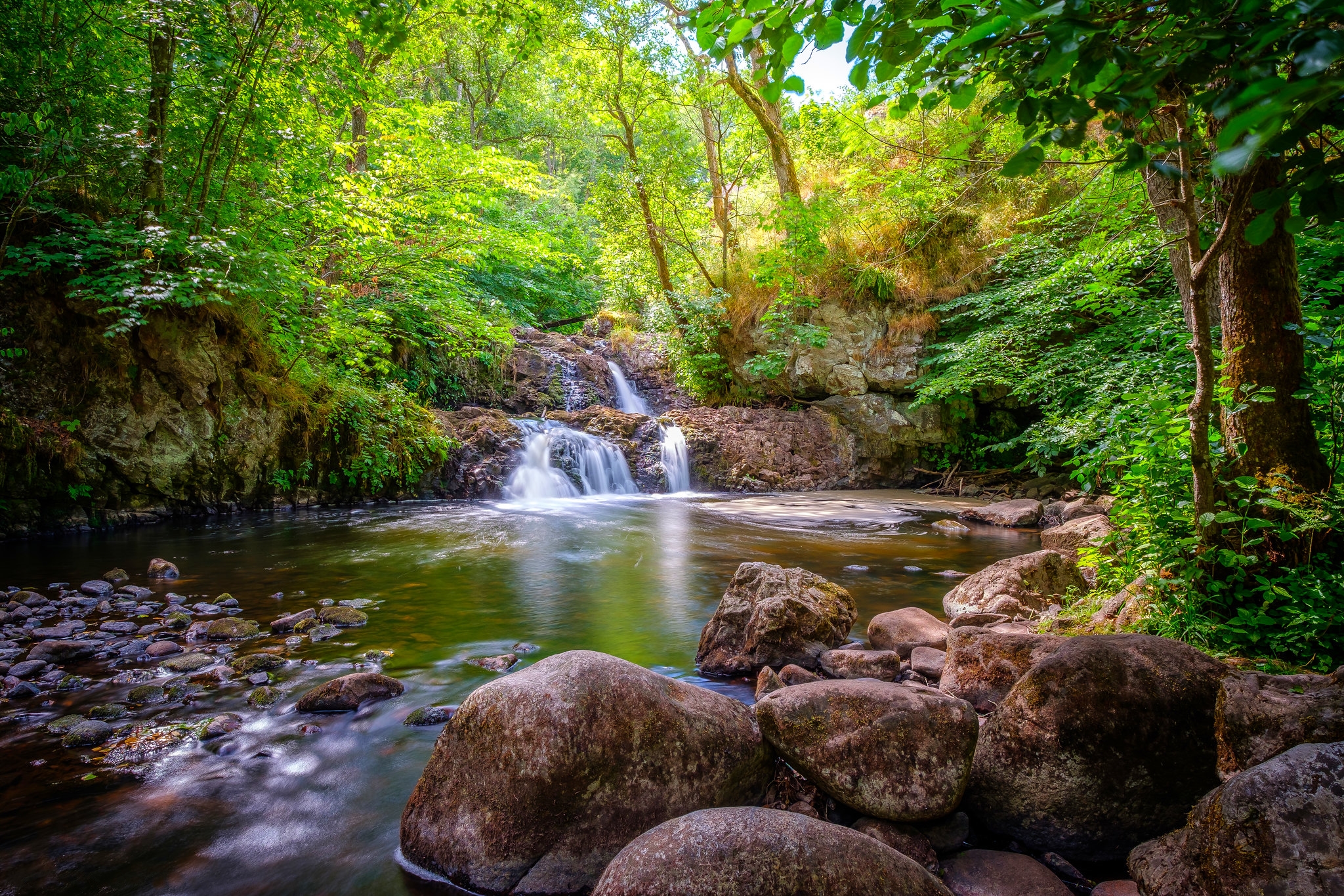 Бесплатное фото Ручей в джунглях