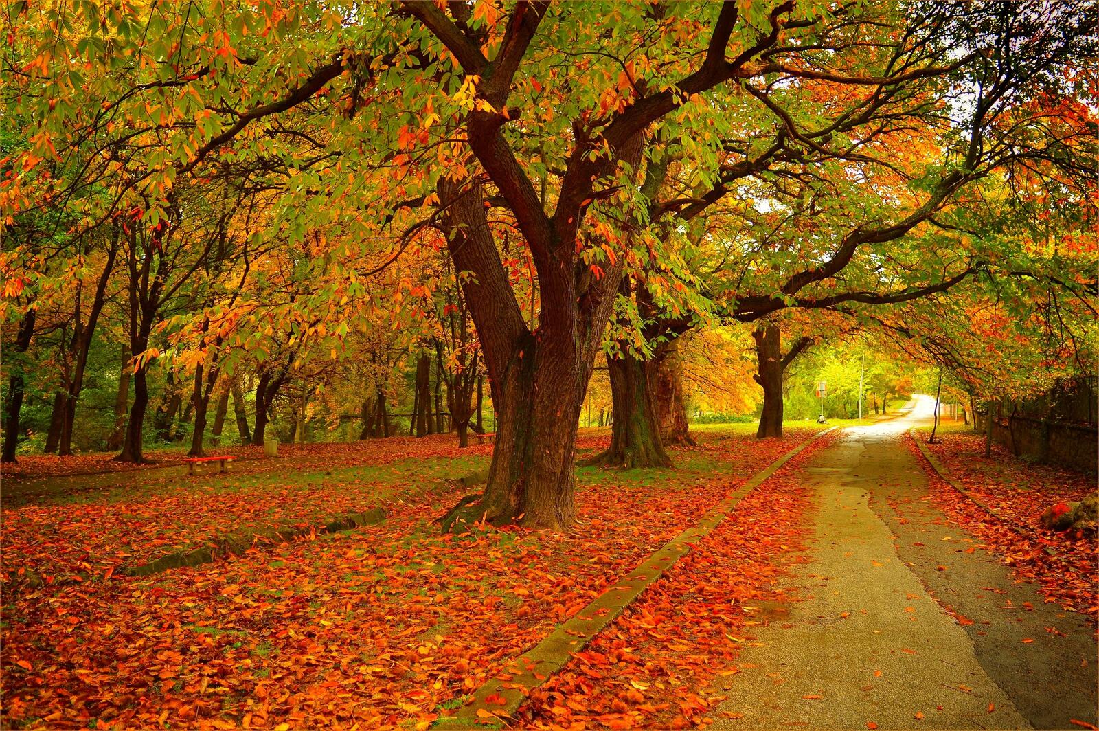 Wallpapers autumn colors of autumn nature on the desktop