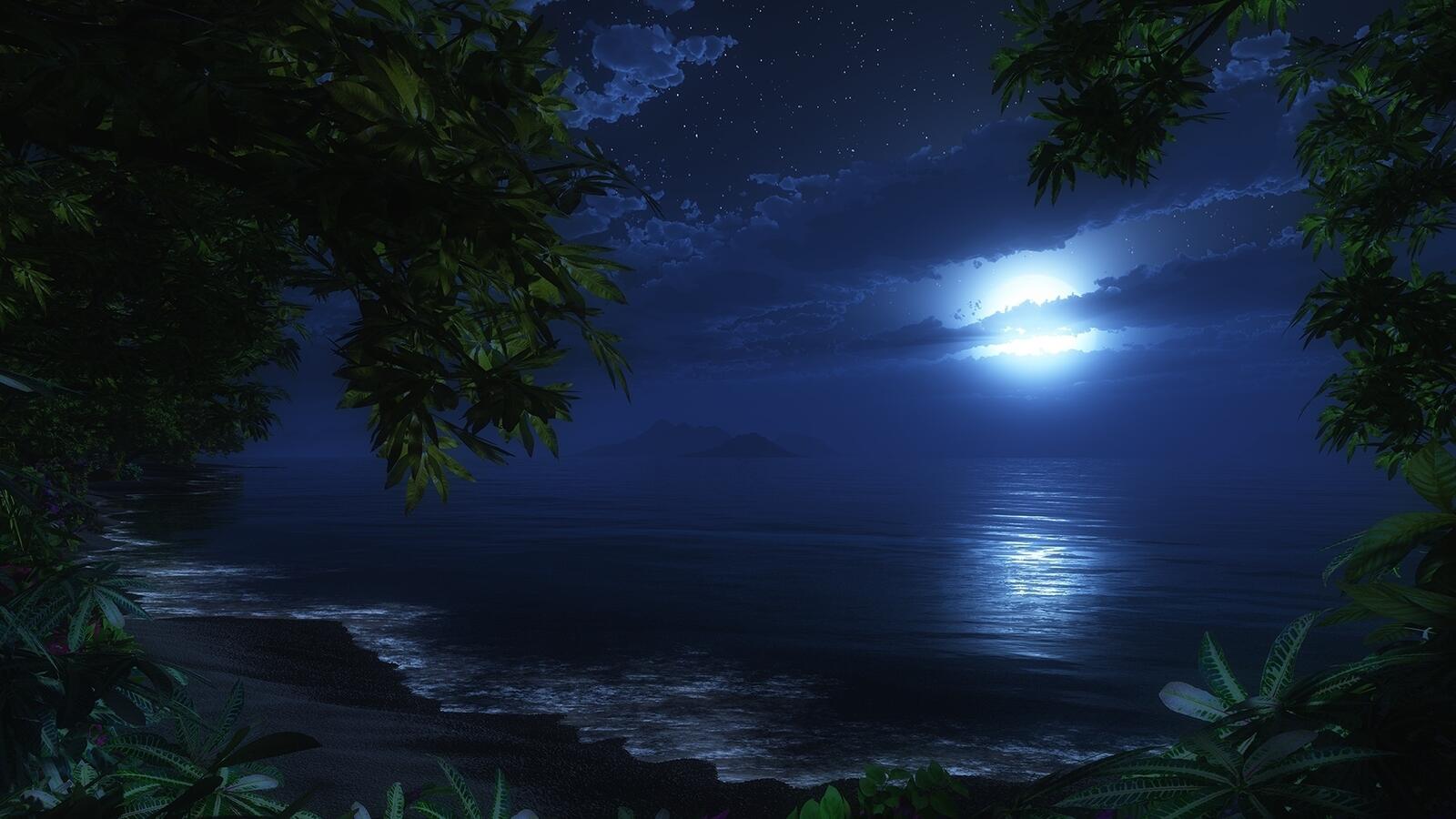 Обои ночь океан луна на рабочий стол