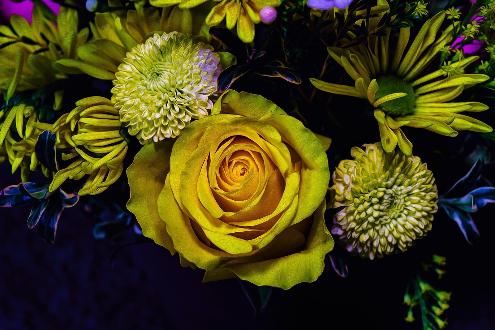 Обои цветы георгины роза на рабочий стол