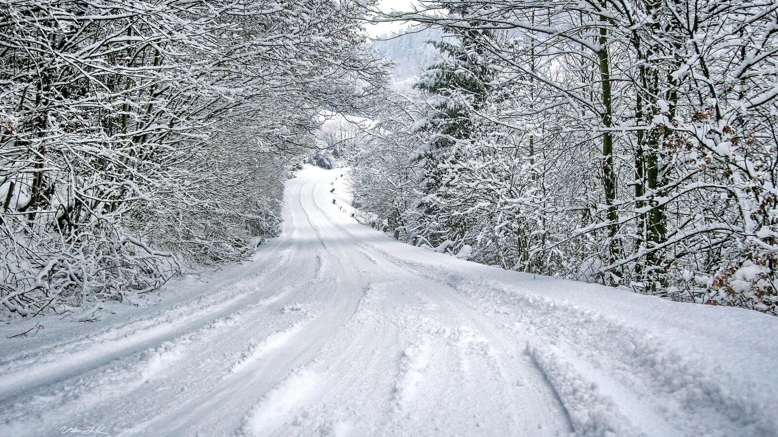 Обои дорога по лесу деревья зима на рабочий стол