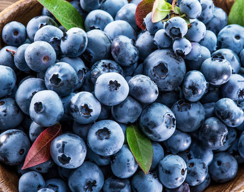 Many ripe blueberries