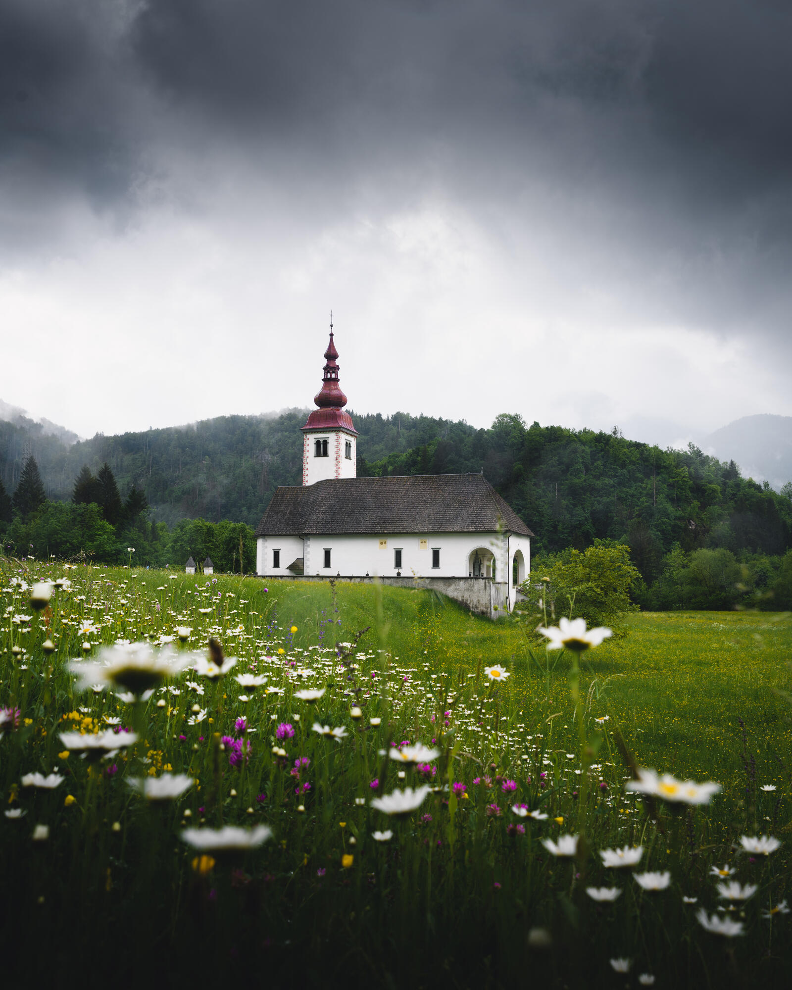 Wallpapers flowers christianity church on the desktop