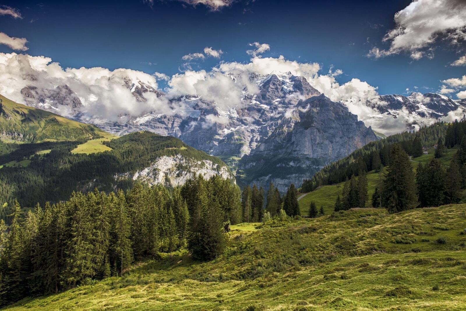 桌面上的壁纸瑞士 山区 森林