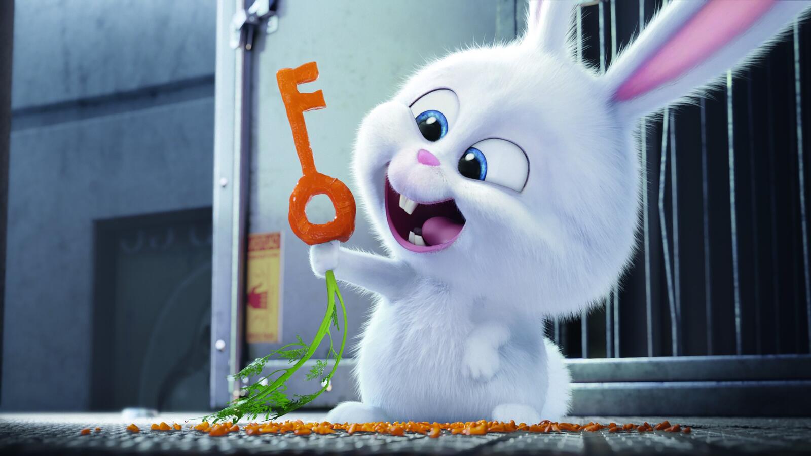 Wallpapers bunny The Secret Life Of Pets movies on the desktop