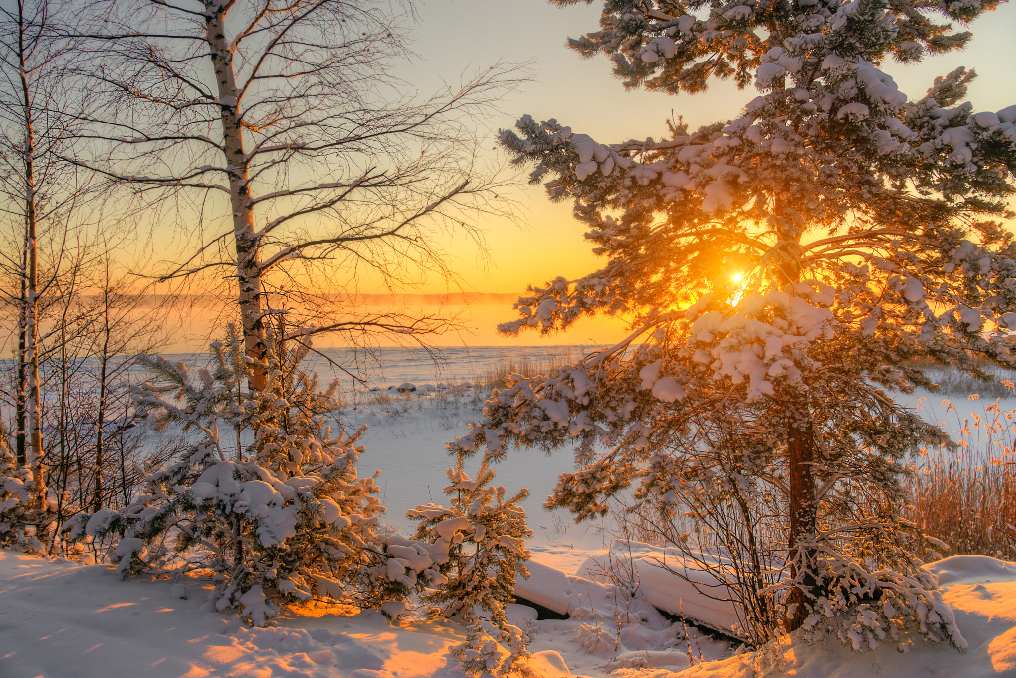 Утро природа февраль. Зима солнце. Зимнее утро. Солнечный зимний день. Зимний пейзаж.