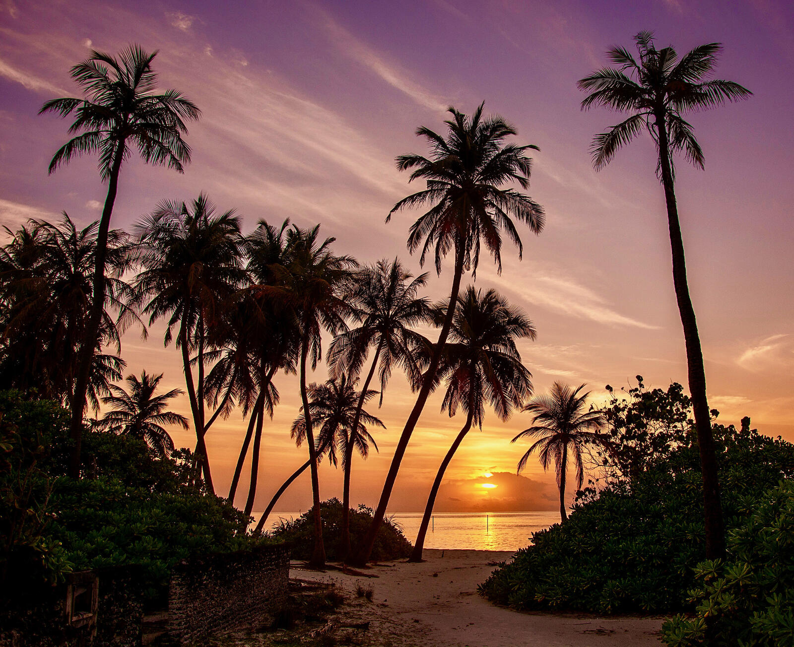 Wallpapers landscape Maldives palm trees on the desktop
