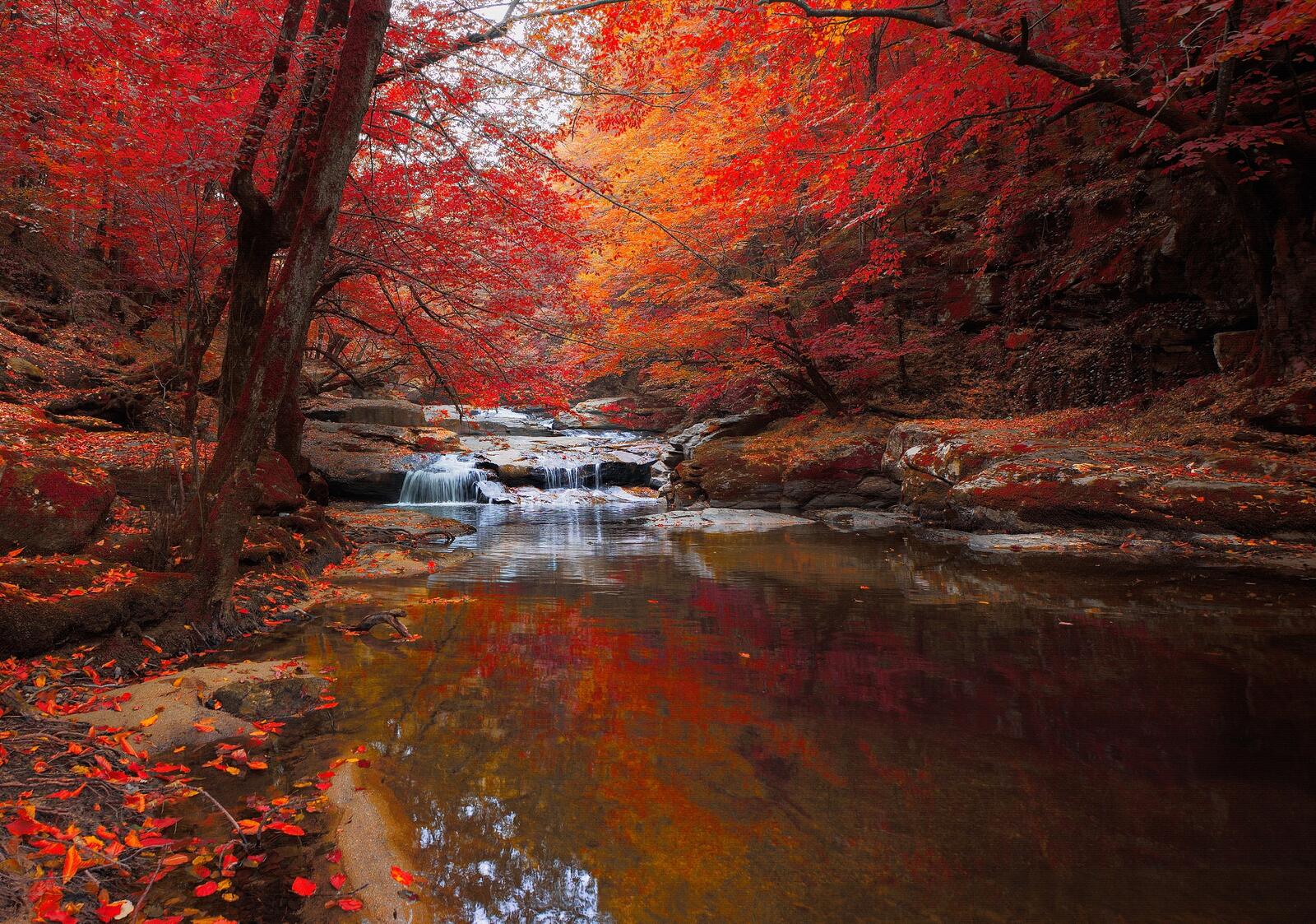 Wallpapers autumn paints landscapes landscape on the desktop